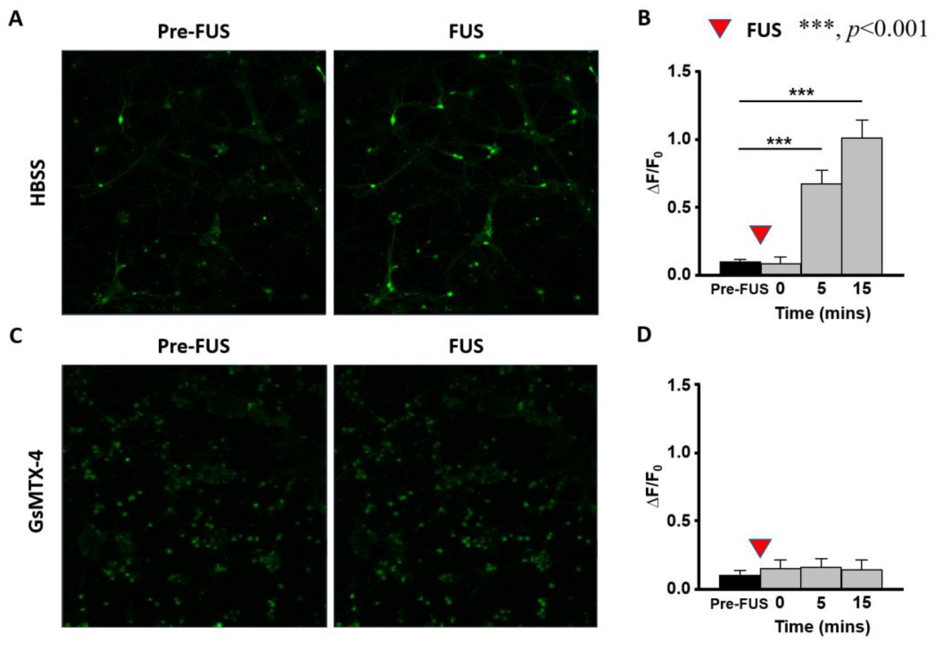 Ijms 24 02578 g006 Ijms 24 02578 g006