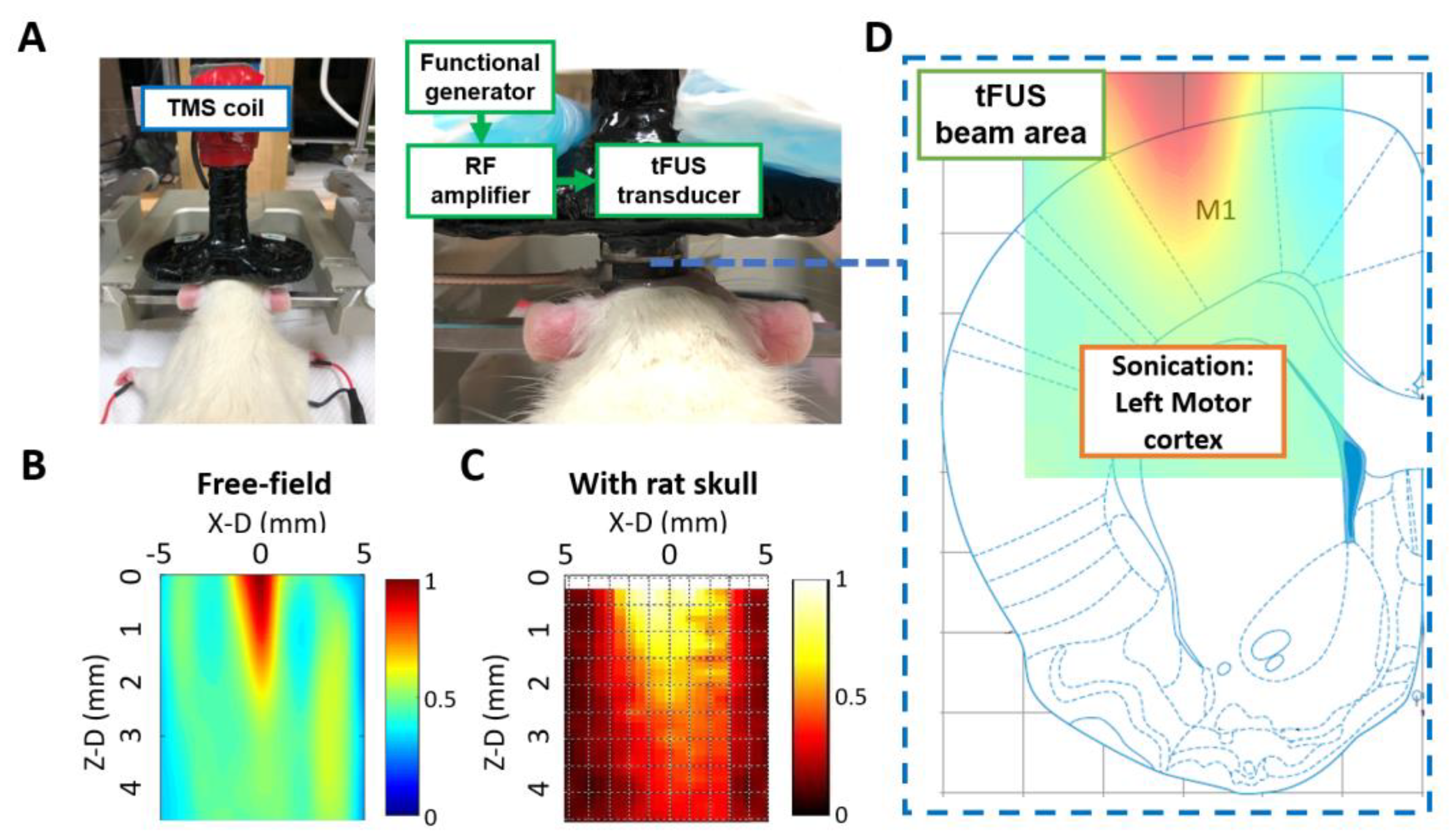 Ijms 24 02578 g007 Ijms 24 02578 g007