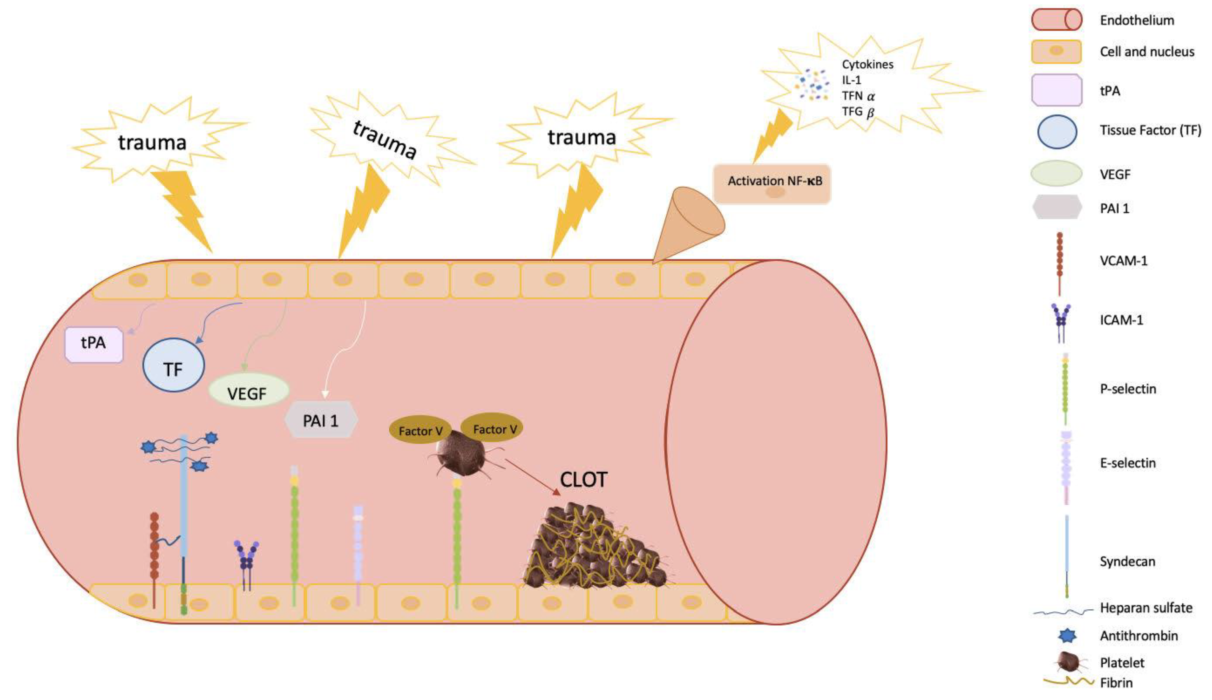 Ijms 24 02582 g002 Ijms 24 02582 g002