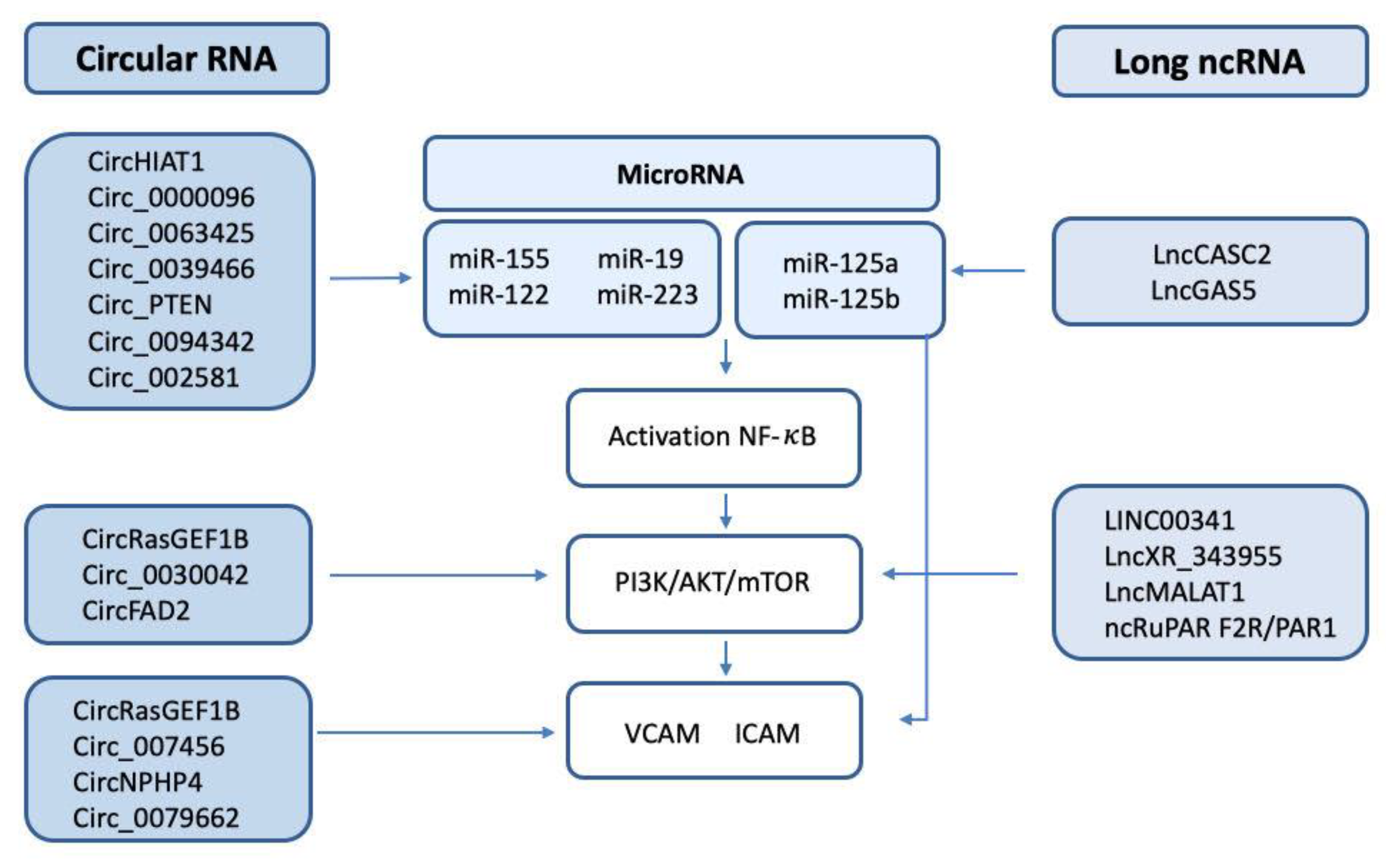 Ijms 24 02582 g003 Ijms 24 02582 g003