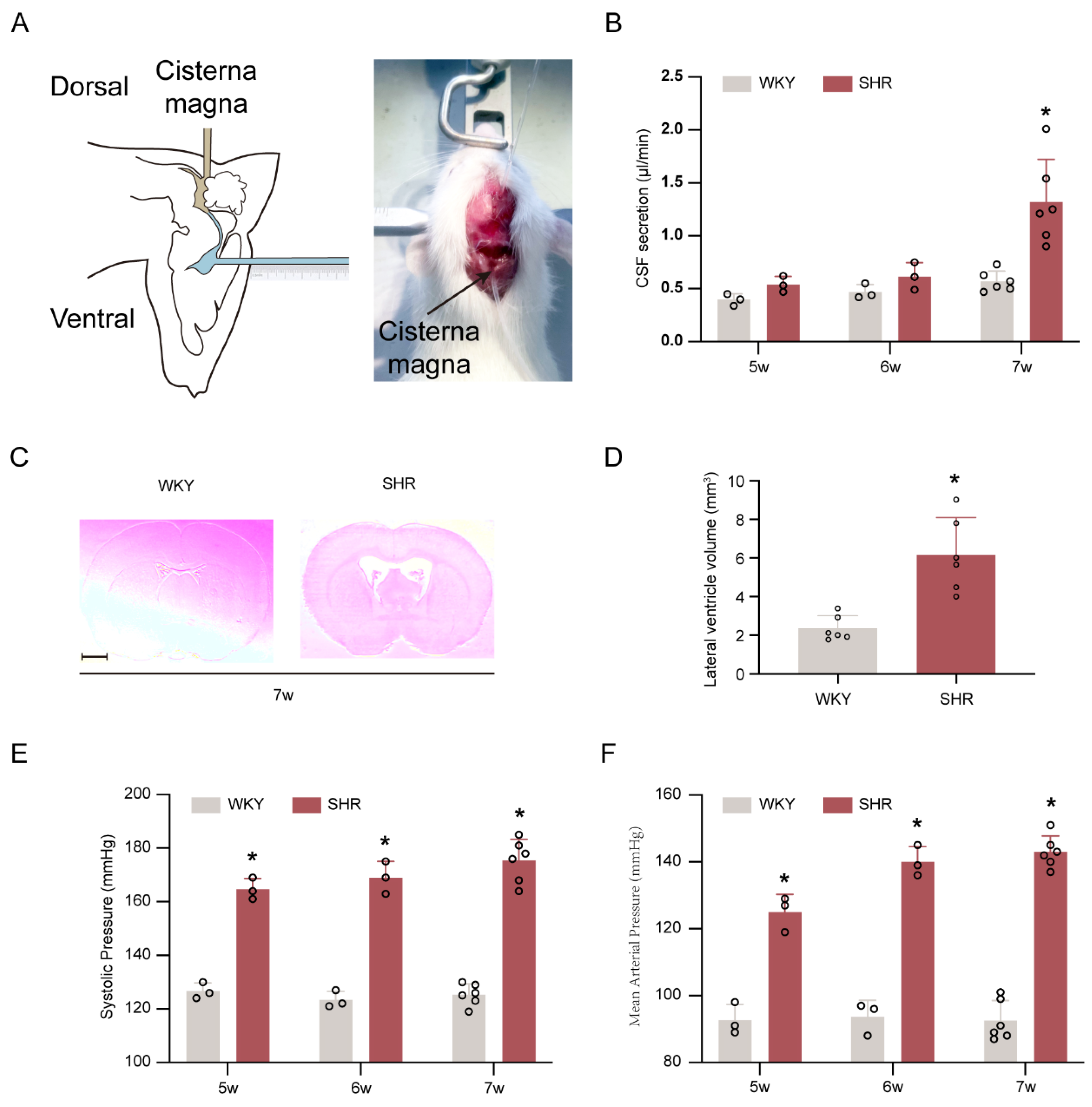 Ijms 24 02586 g001 Ijms 24 02586 g001