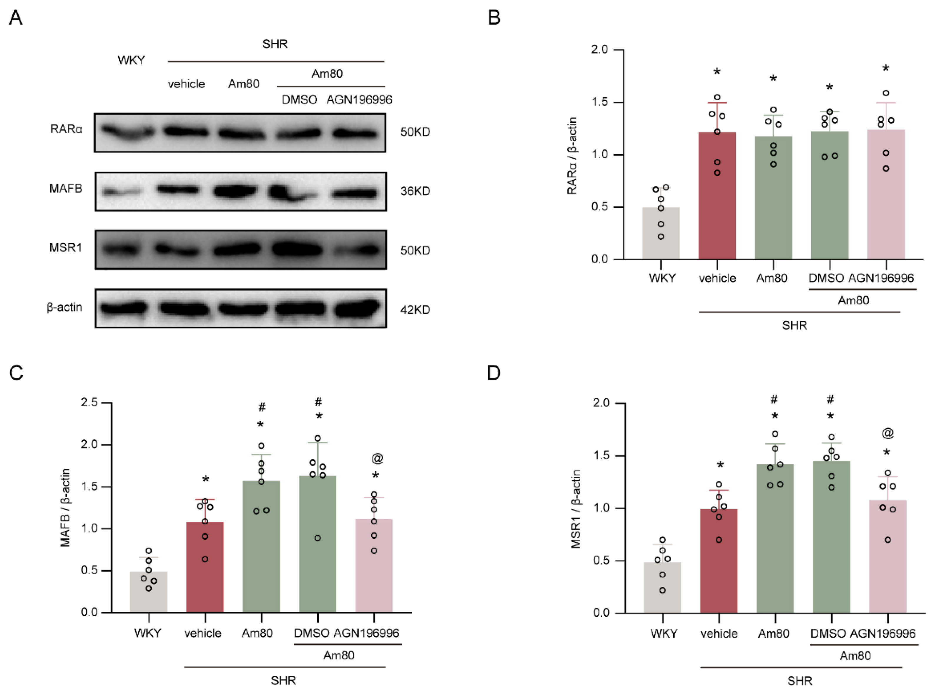 Ijms 24 02586 g005 Ijms 24 02586 g005