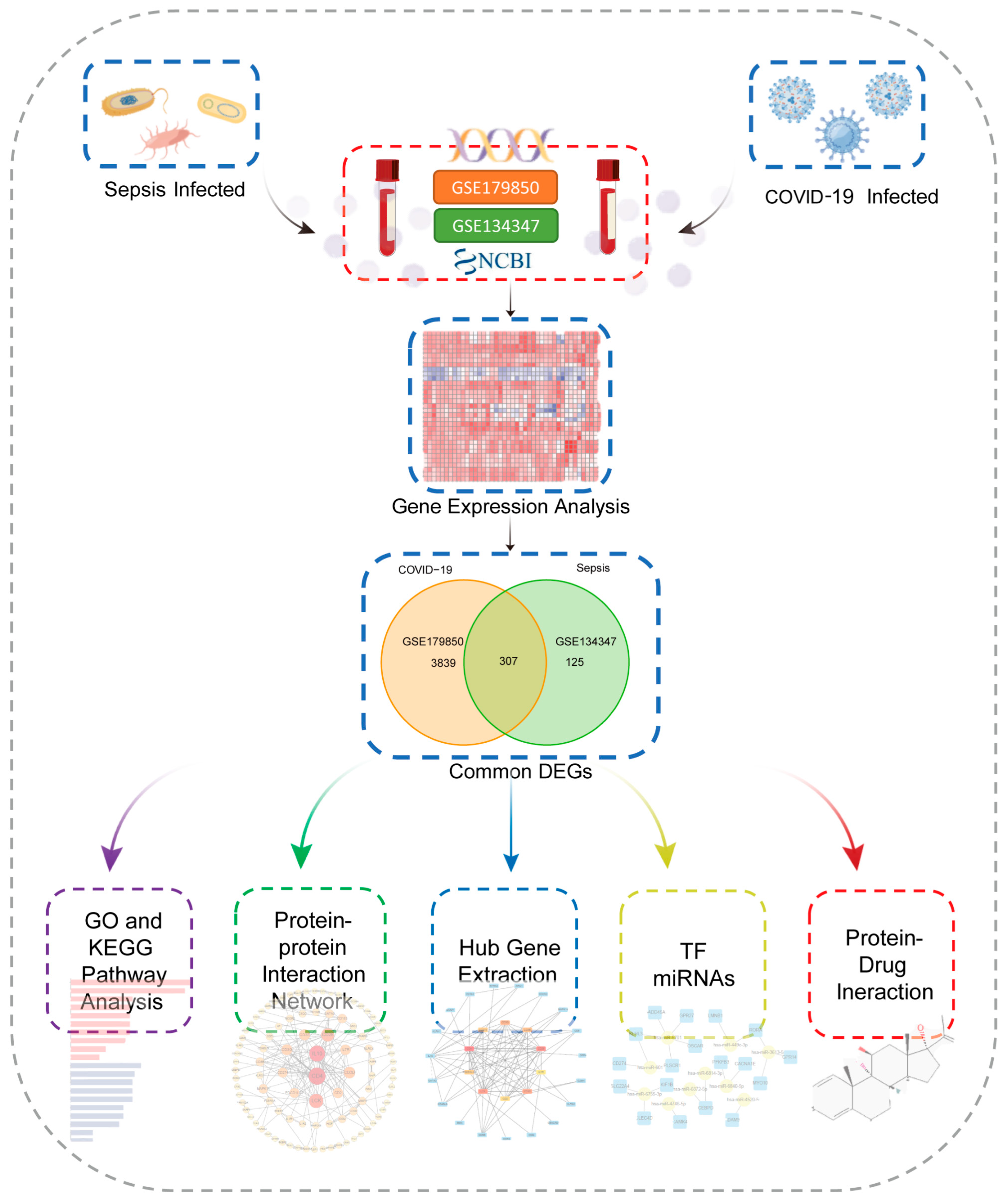 Ijms 24 02591 g001 Ijms 24 02591 g001