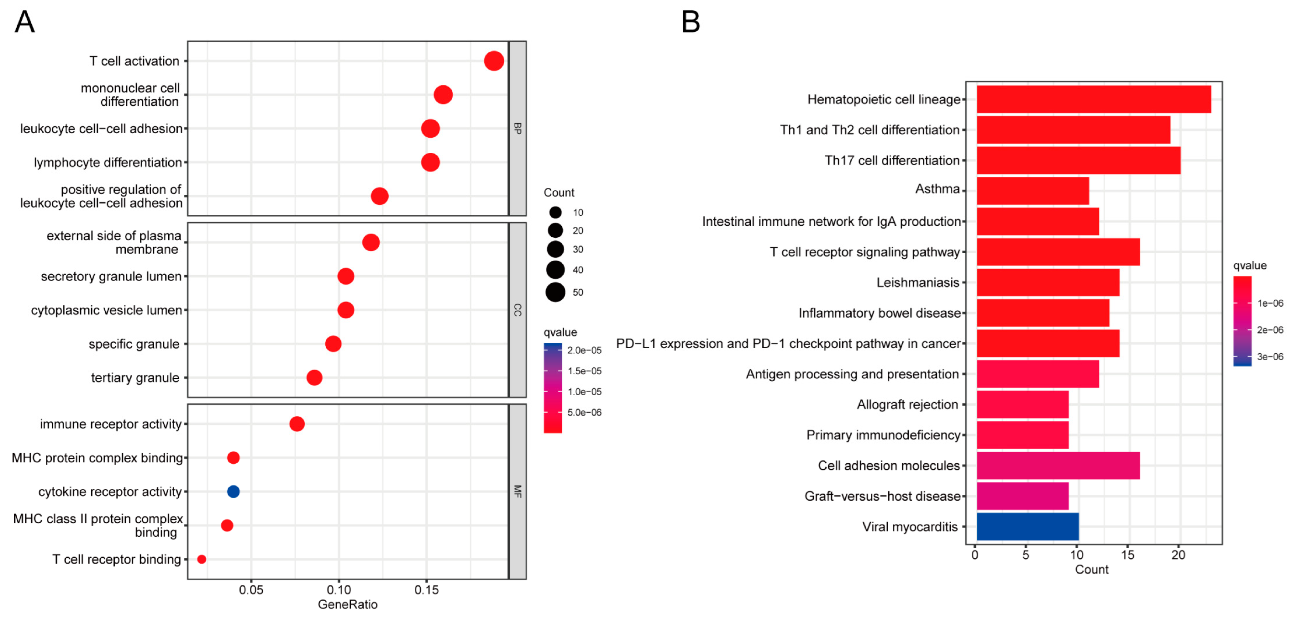 Ijms 24 02591 g003 Ijms 24 02591 g003