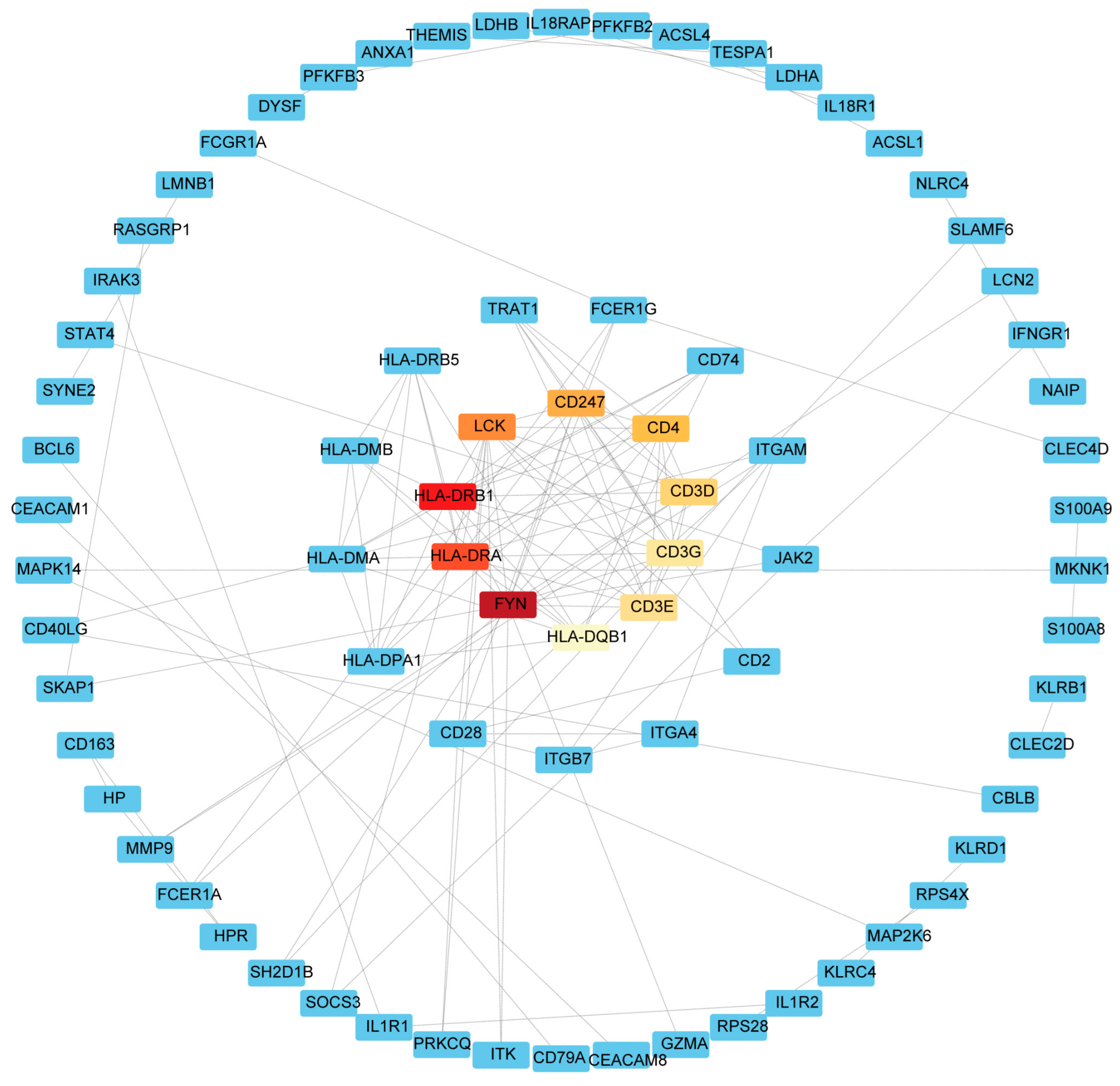 Ijms 24 02591 g005 Ijms 24 02591 g005