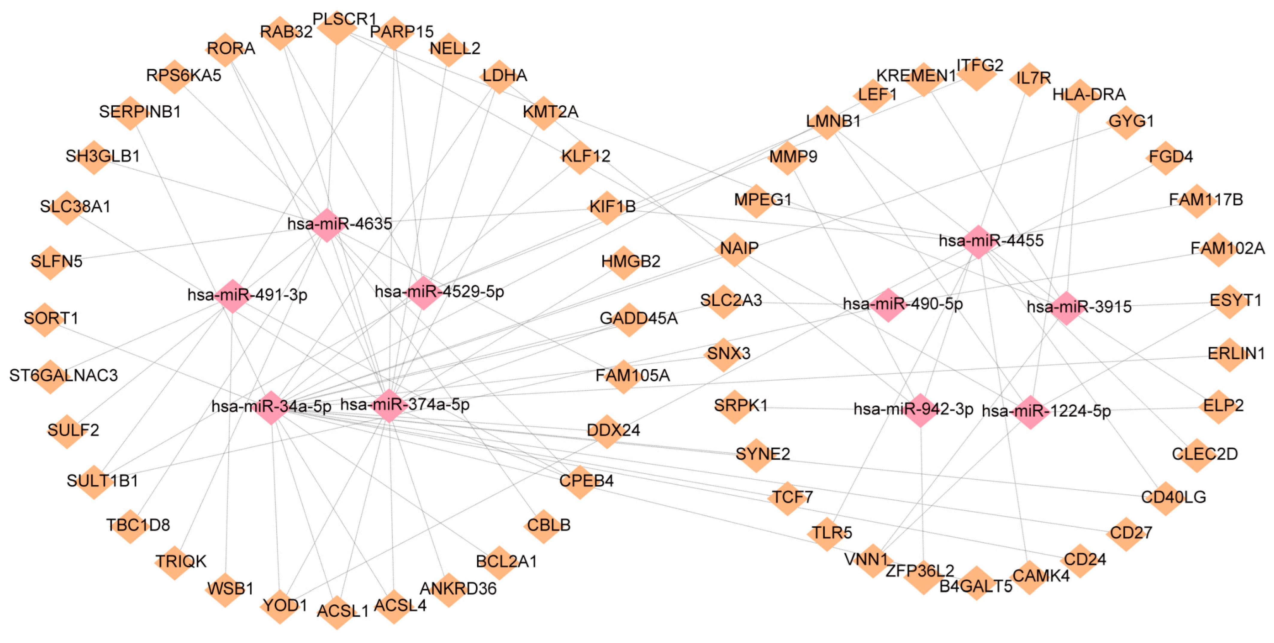 Ijms 24 02591 g007 Ijms 24 02591 g007