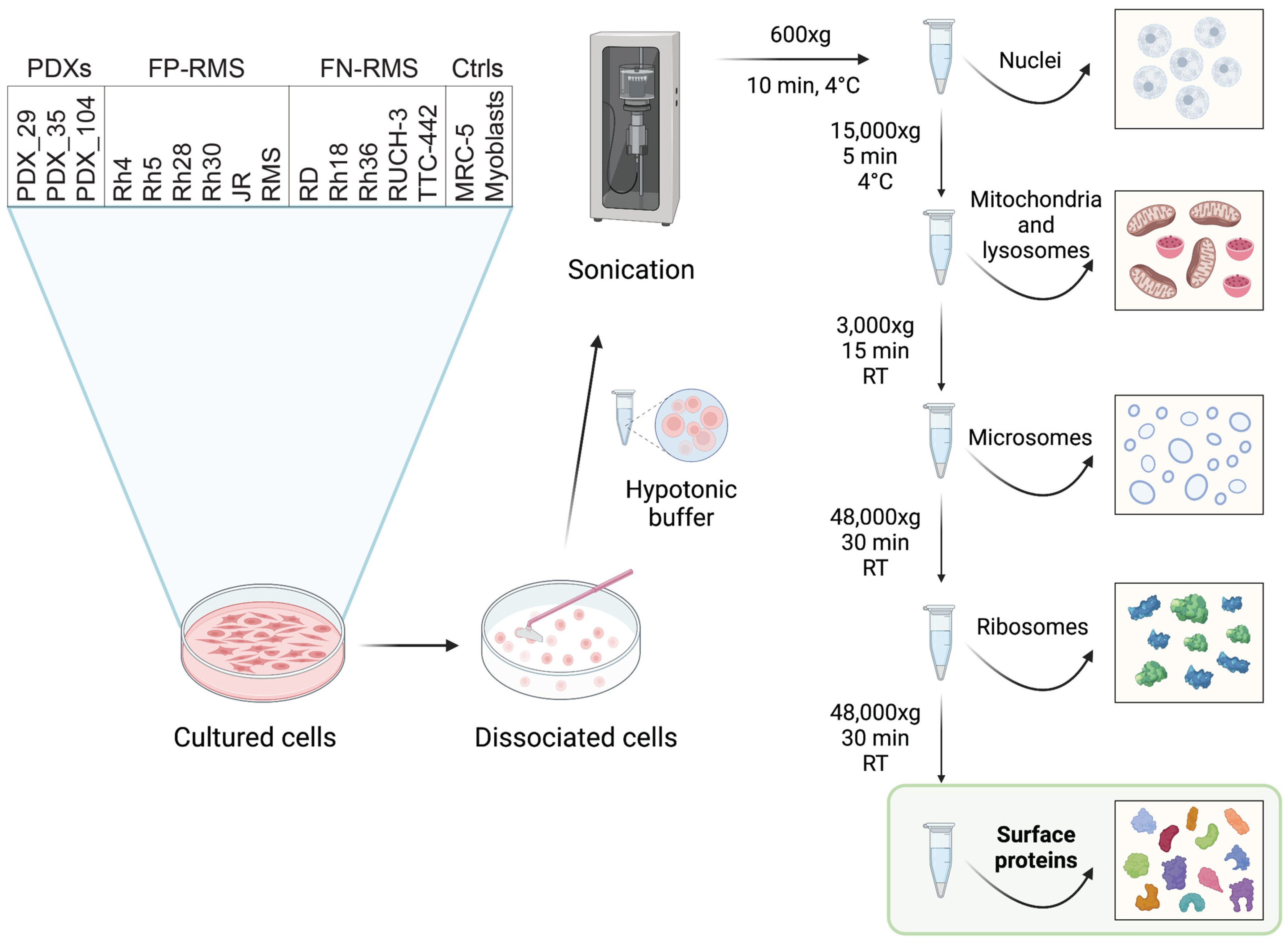 Ijms 24 02601 g002 Ijms 24 02601 g002