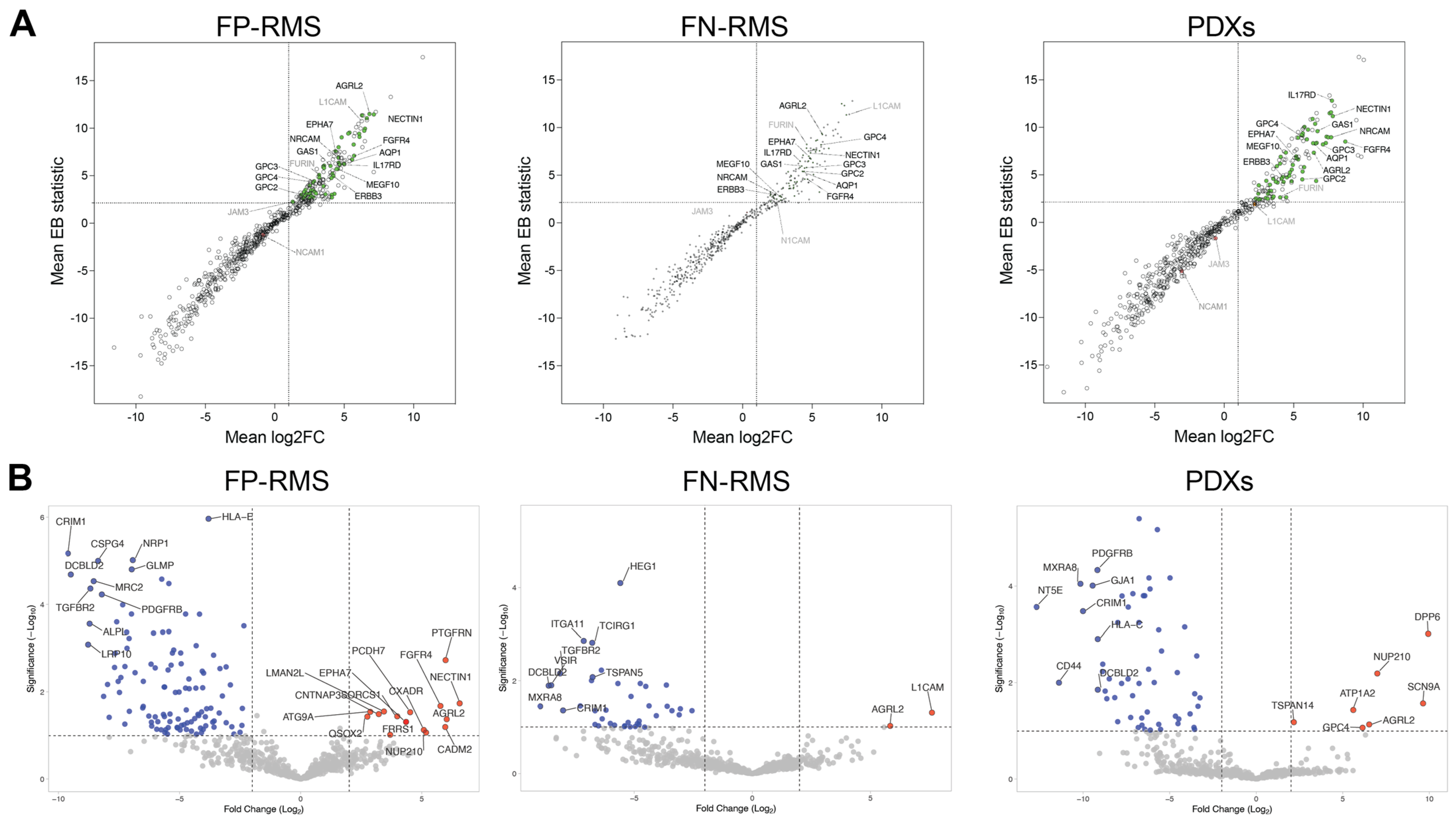 Ijms 24 02601 g004 Ijms 24 02601 g004