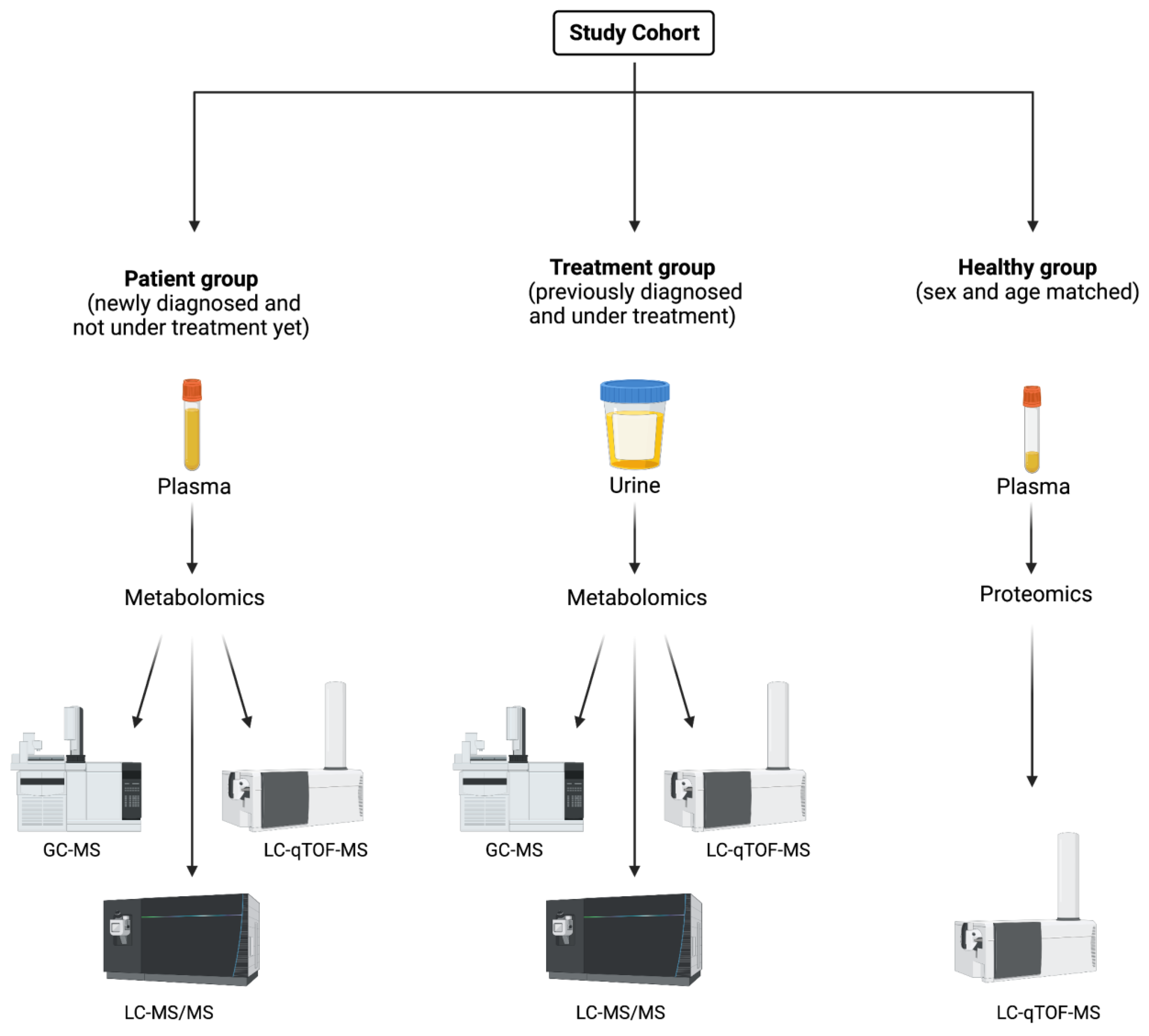 Ijms 24 02603 g004 Ijms 24 02603 g004