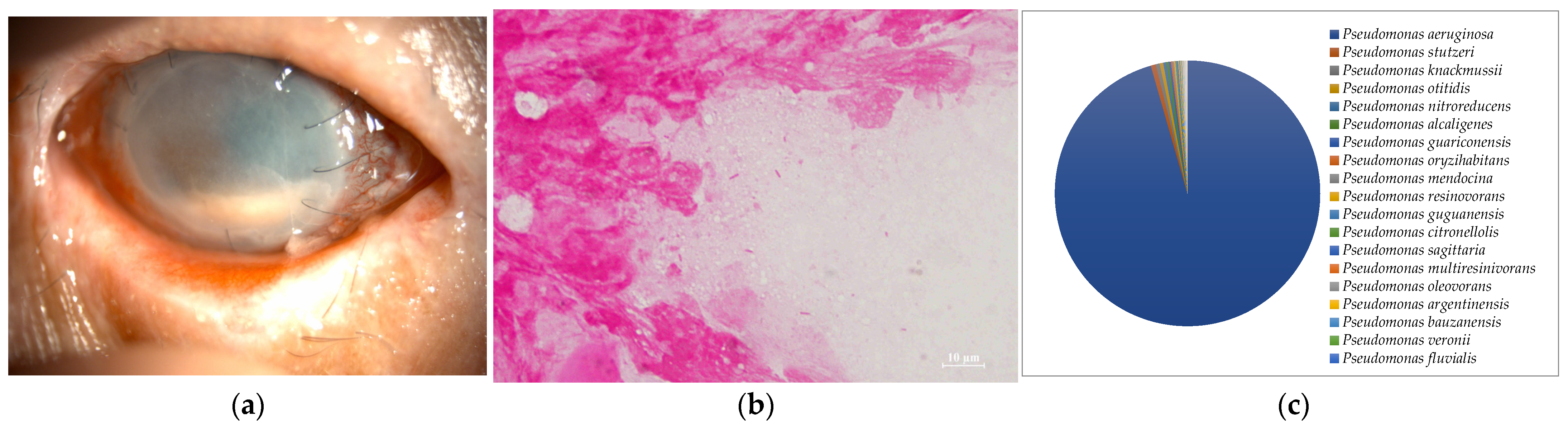 Ijms 24 02611 g003 Ijms 24 02611 g003