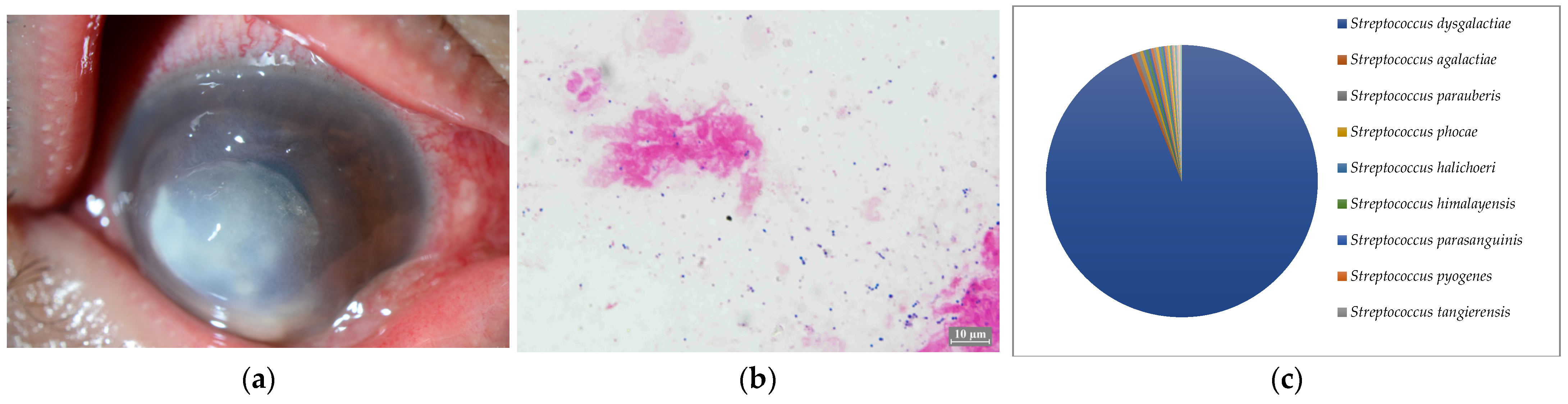 Ijms 24 02611 g004 Ijms 24 02611 g004