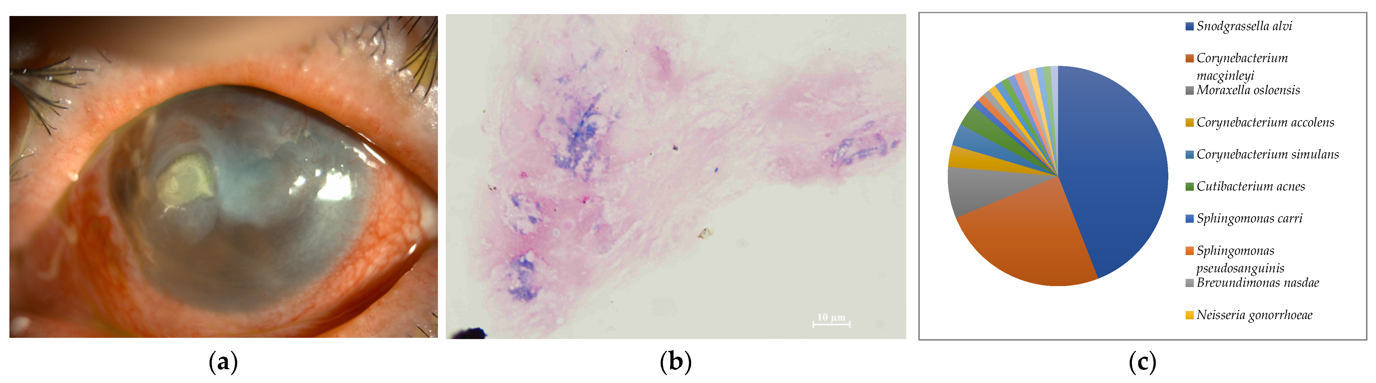 Ijms 24 02611 g006 Ijms 24 02611 g006