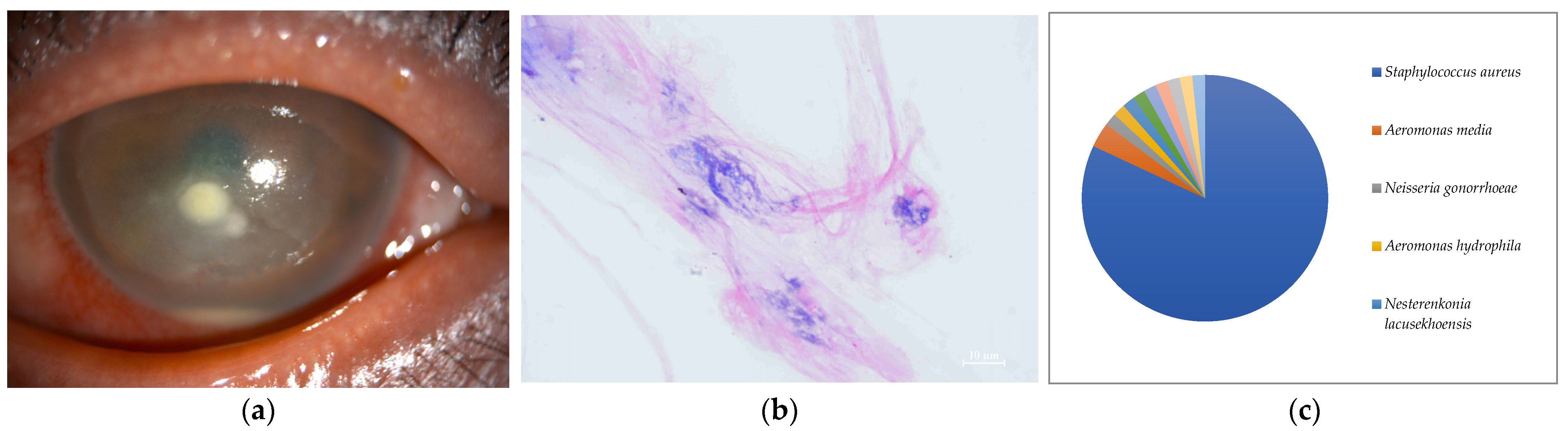 Ijms 24 02611 g007 Ijms 24 02611 g007