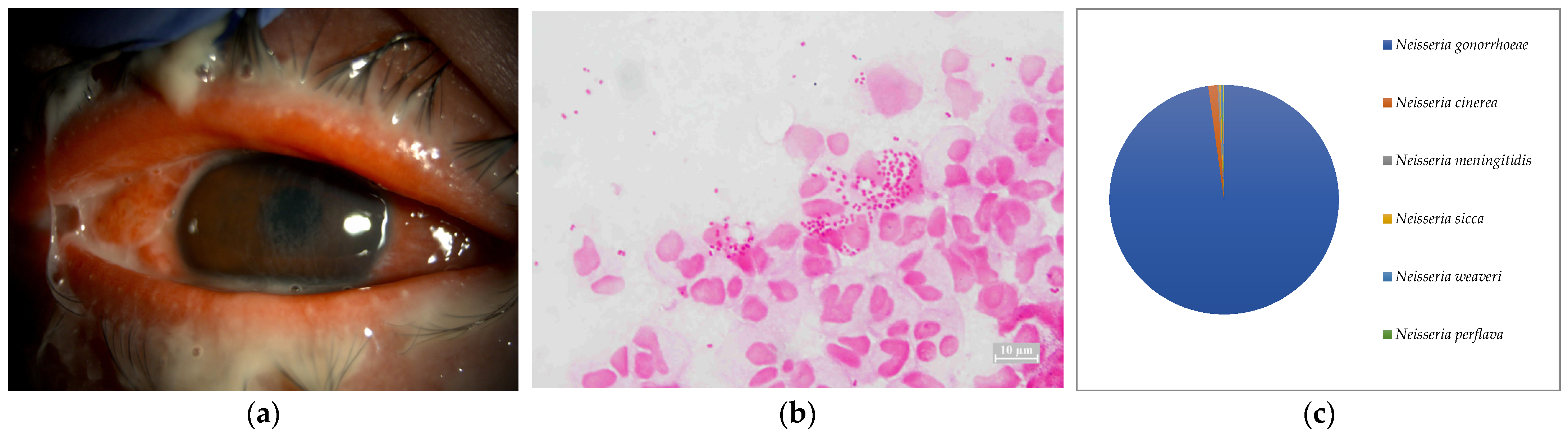 Ijms 24 02611 g008 Ijms 24 02611 g008