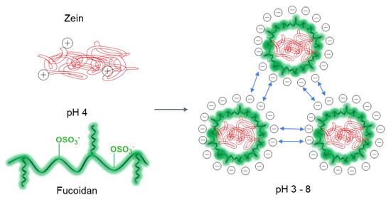 Nano-Sized Fucoidan Interpolyelectrolyte Complexes: Recent