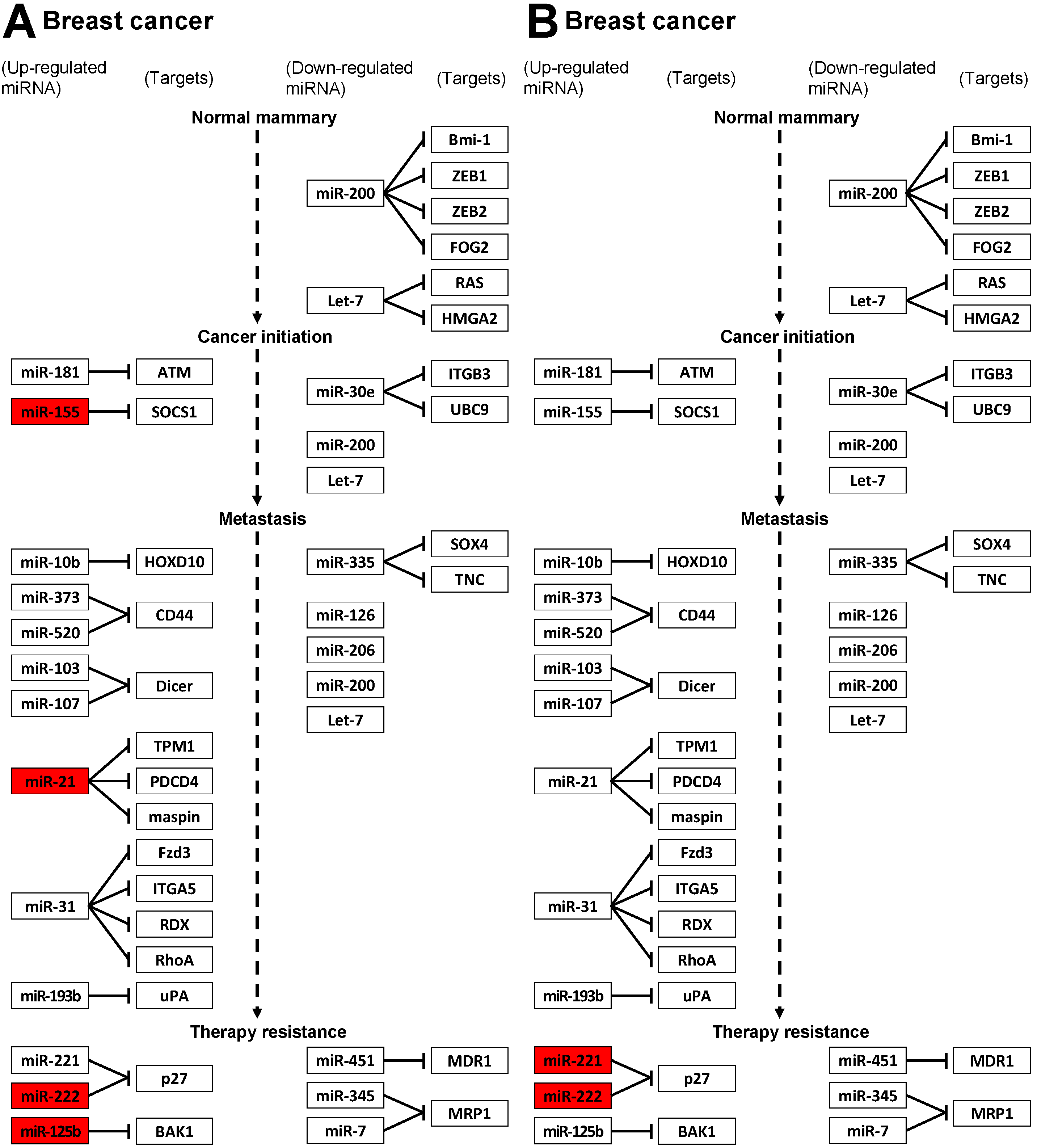 Ijms 24 02618 g002 Ijms 24 02618 g002