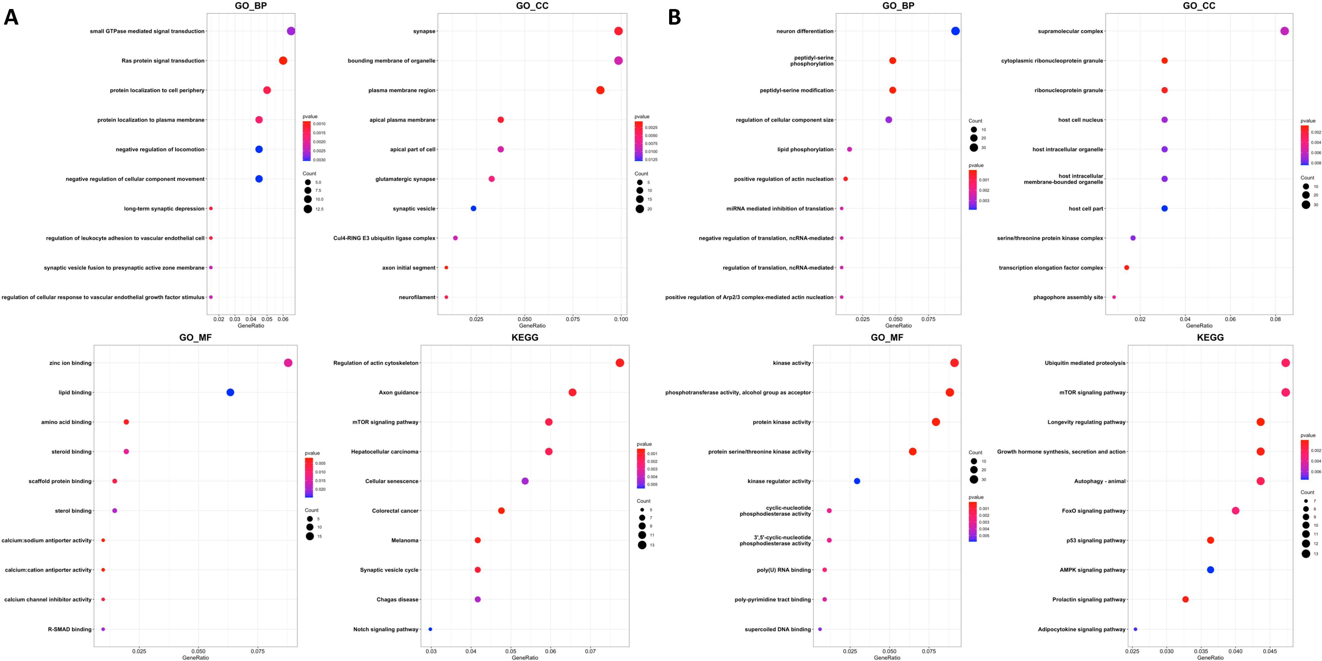 Ijms 24 02618 g003 Ijms 24 02618 g003