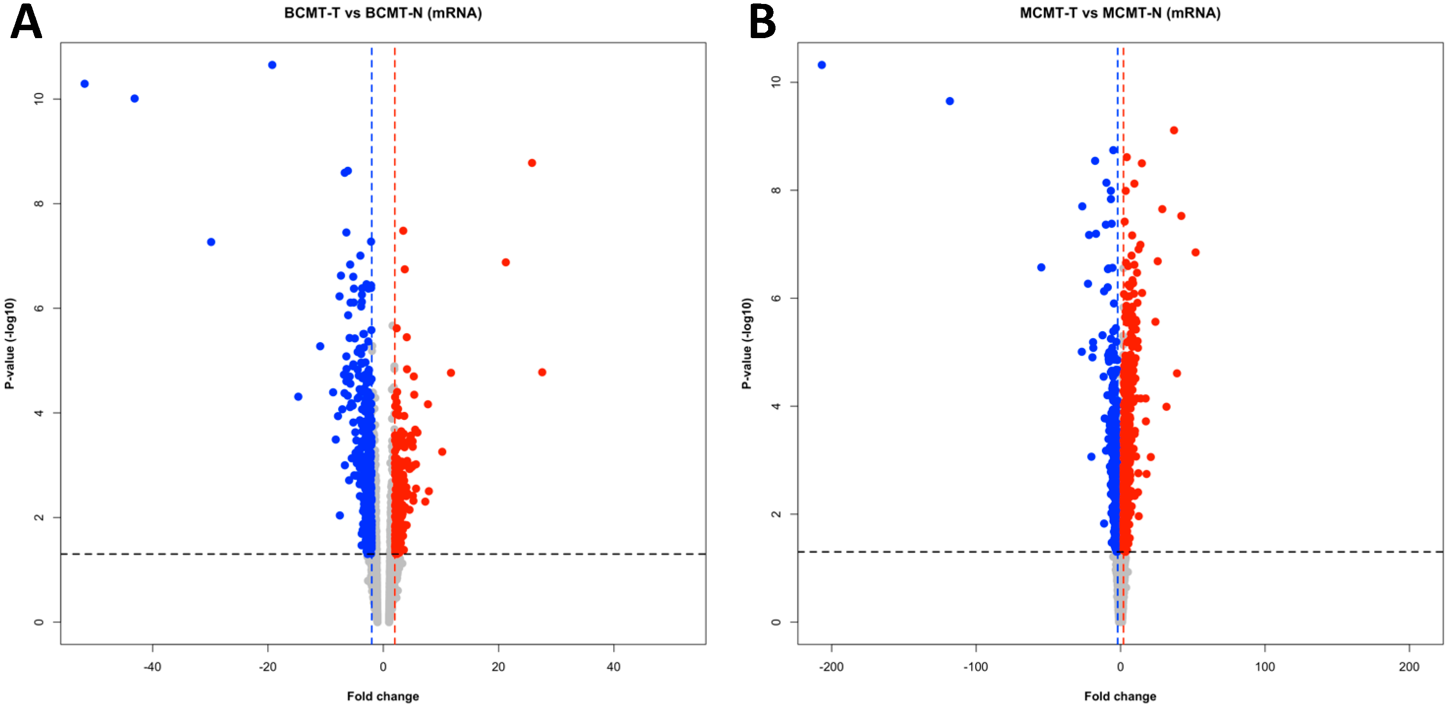 Ijms 24 02618 g005 Ijms 24 02618 g005