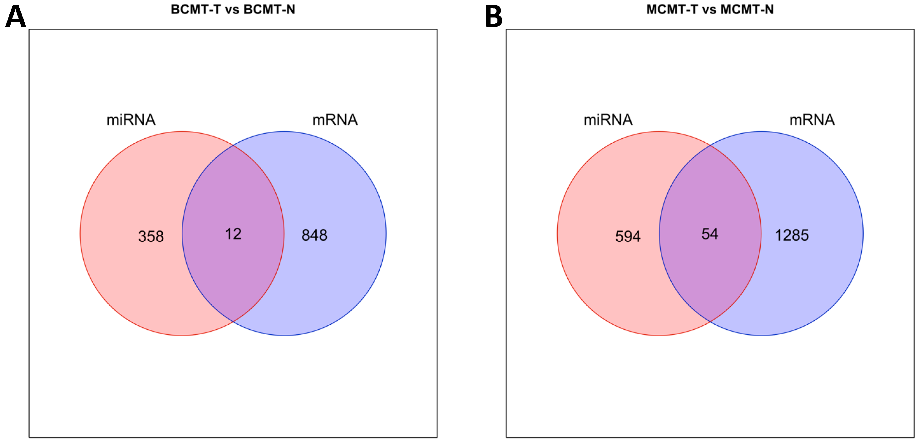 Ijms 24 02618 g006 Ijms 24 02618 g006