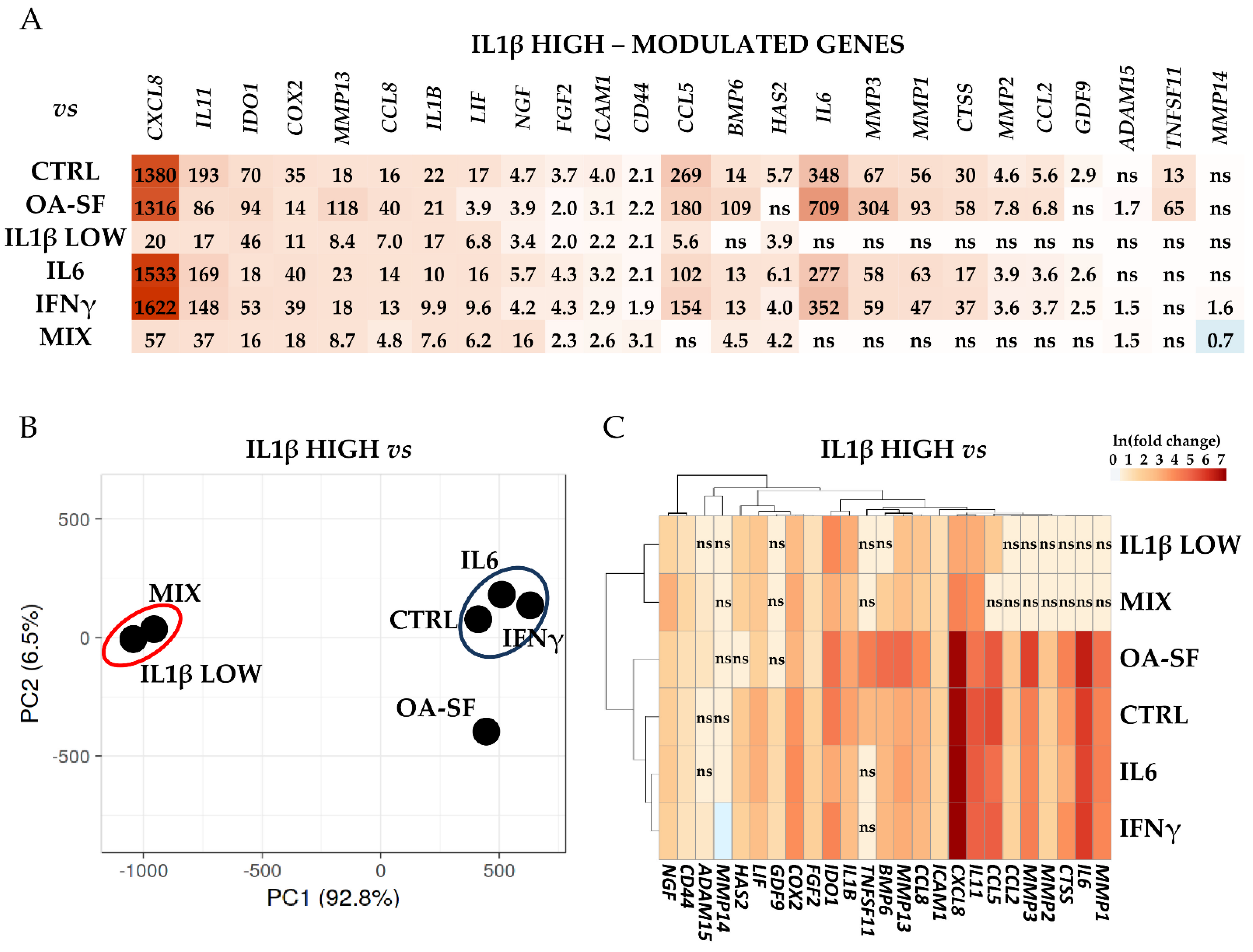 Ijms 24 02625 g004 Ijms 24 02625 g004