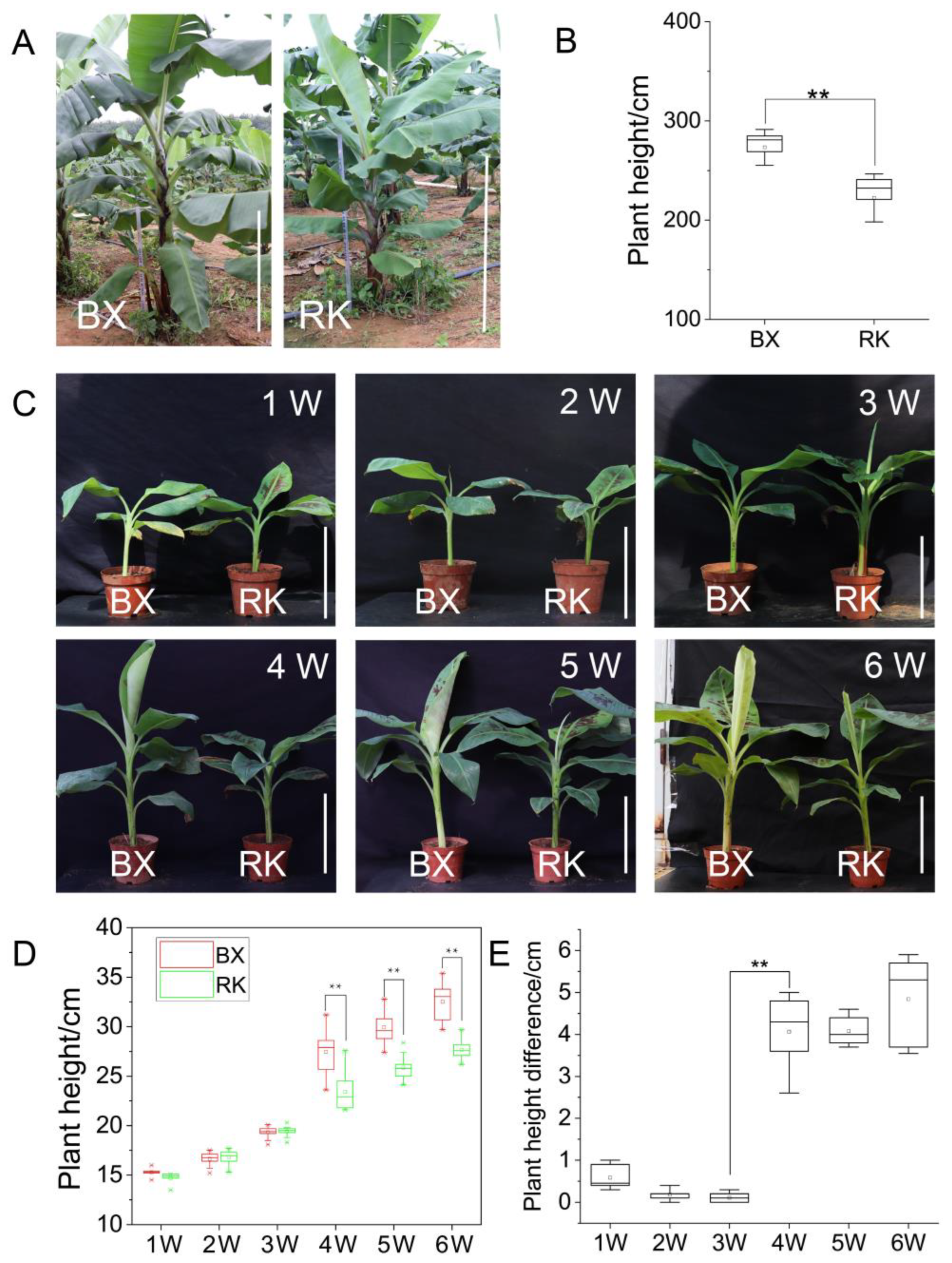 Ijms 24 02628 g001 Ijms 24 02628 g001