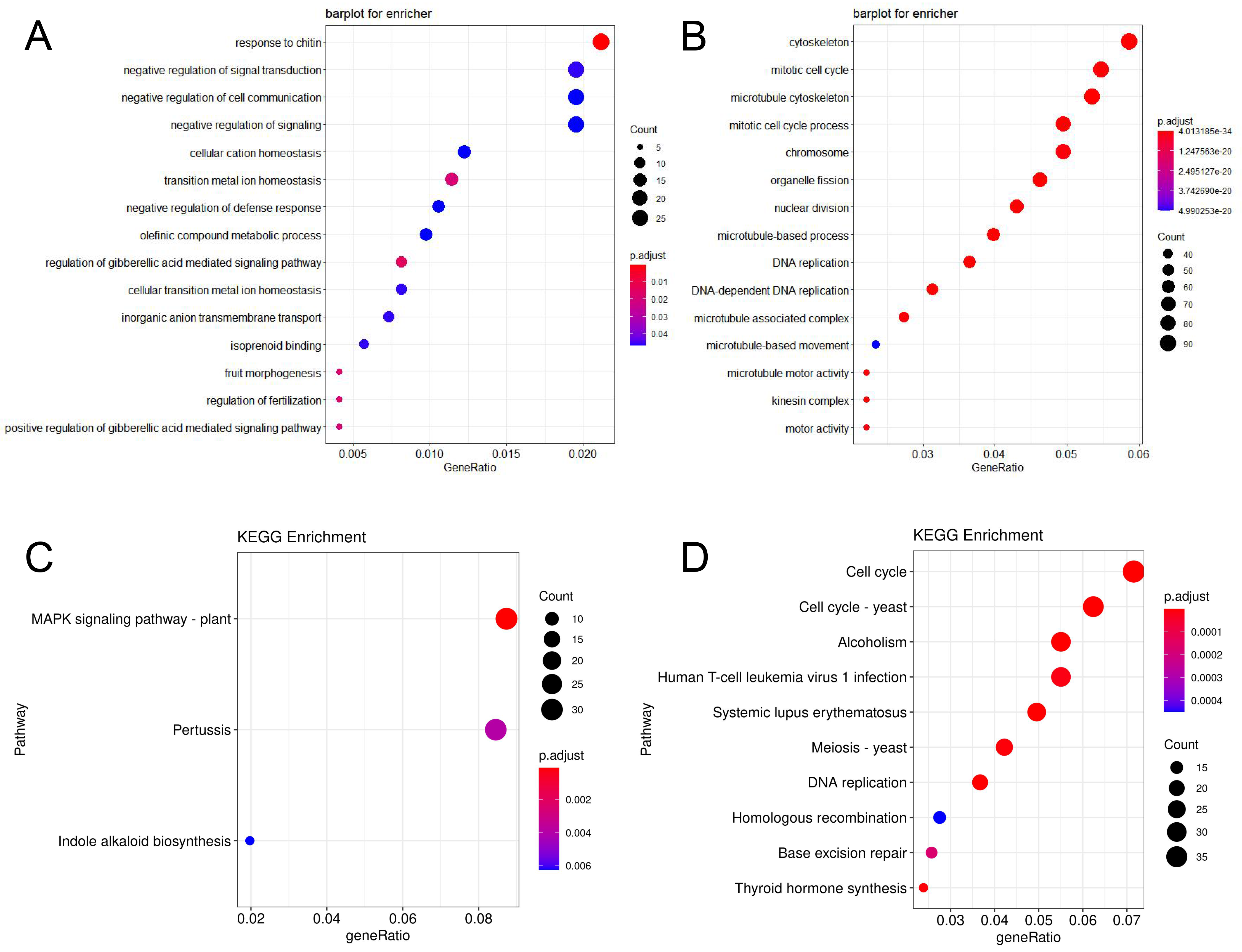 Ijms 24 02628 g003 Ijms 24 02628 g003