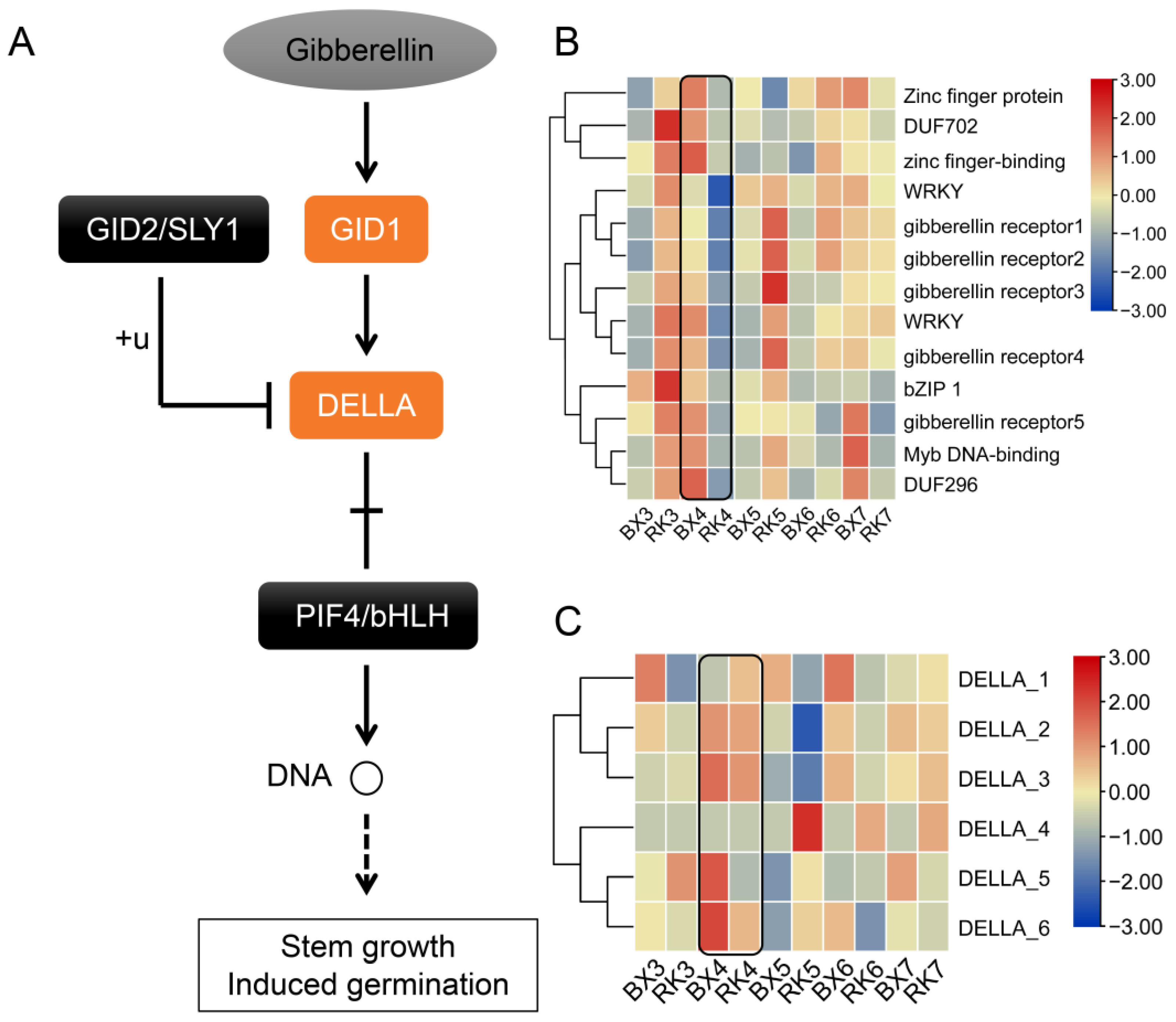 Ijms 24 02628 g004 Ijms 24 02628 g004