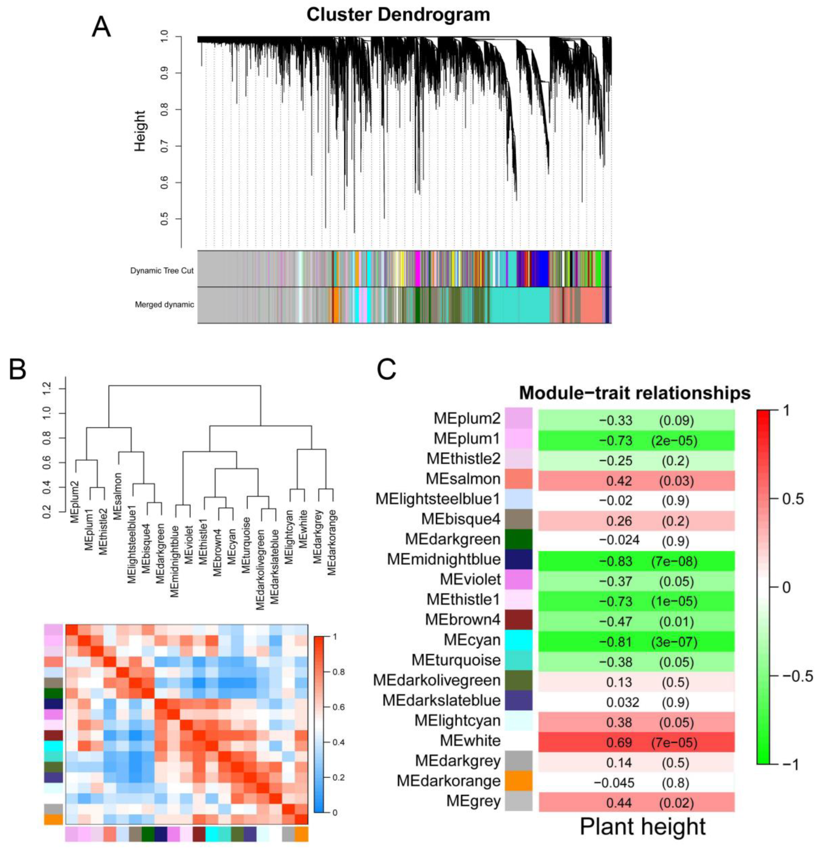 Ijms 24 02628 g005 Ijms 24 02628 g005