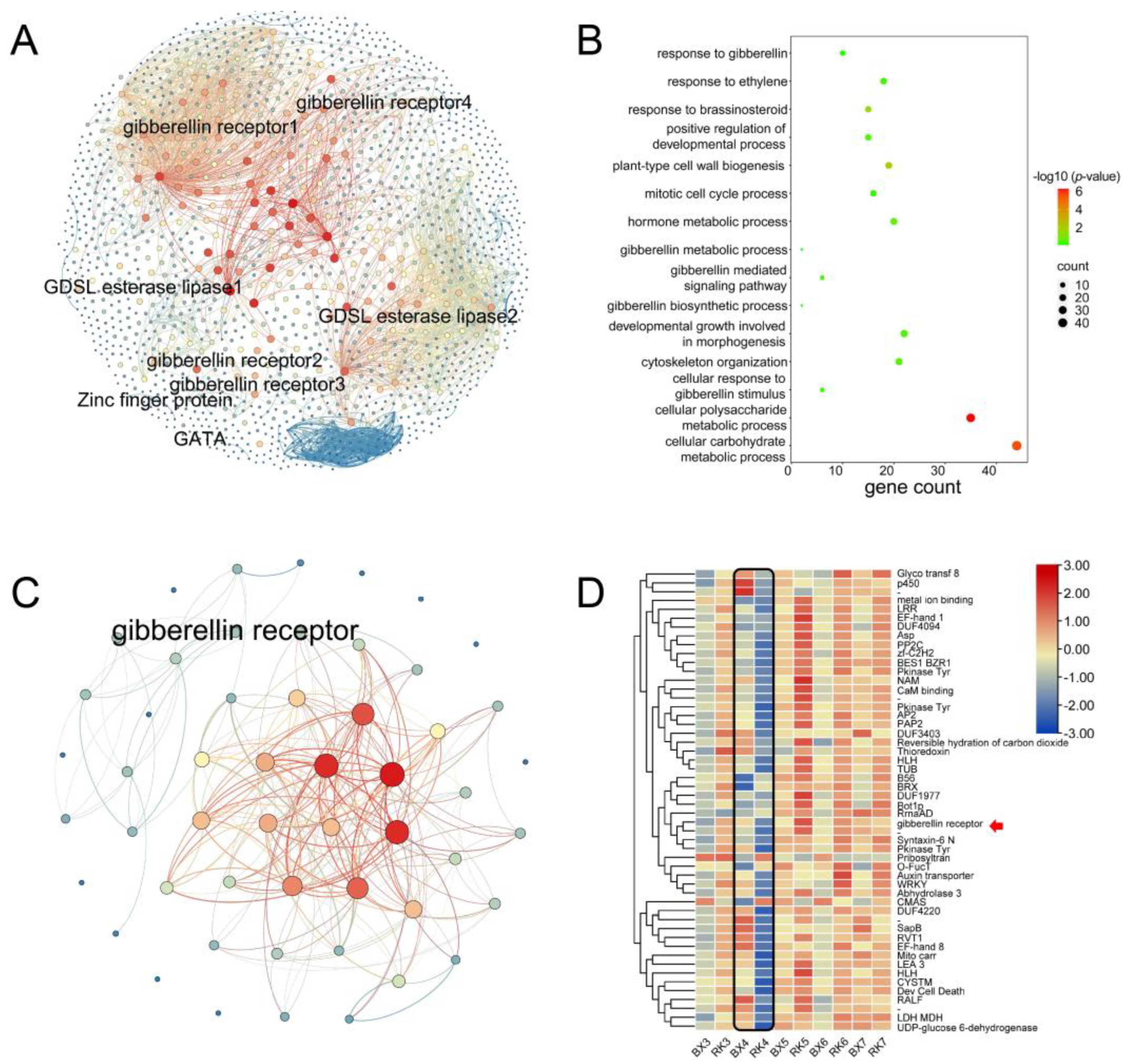 Ijms 24 02628 g006 Ijms 24 02628 g006