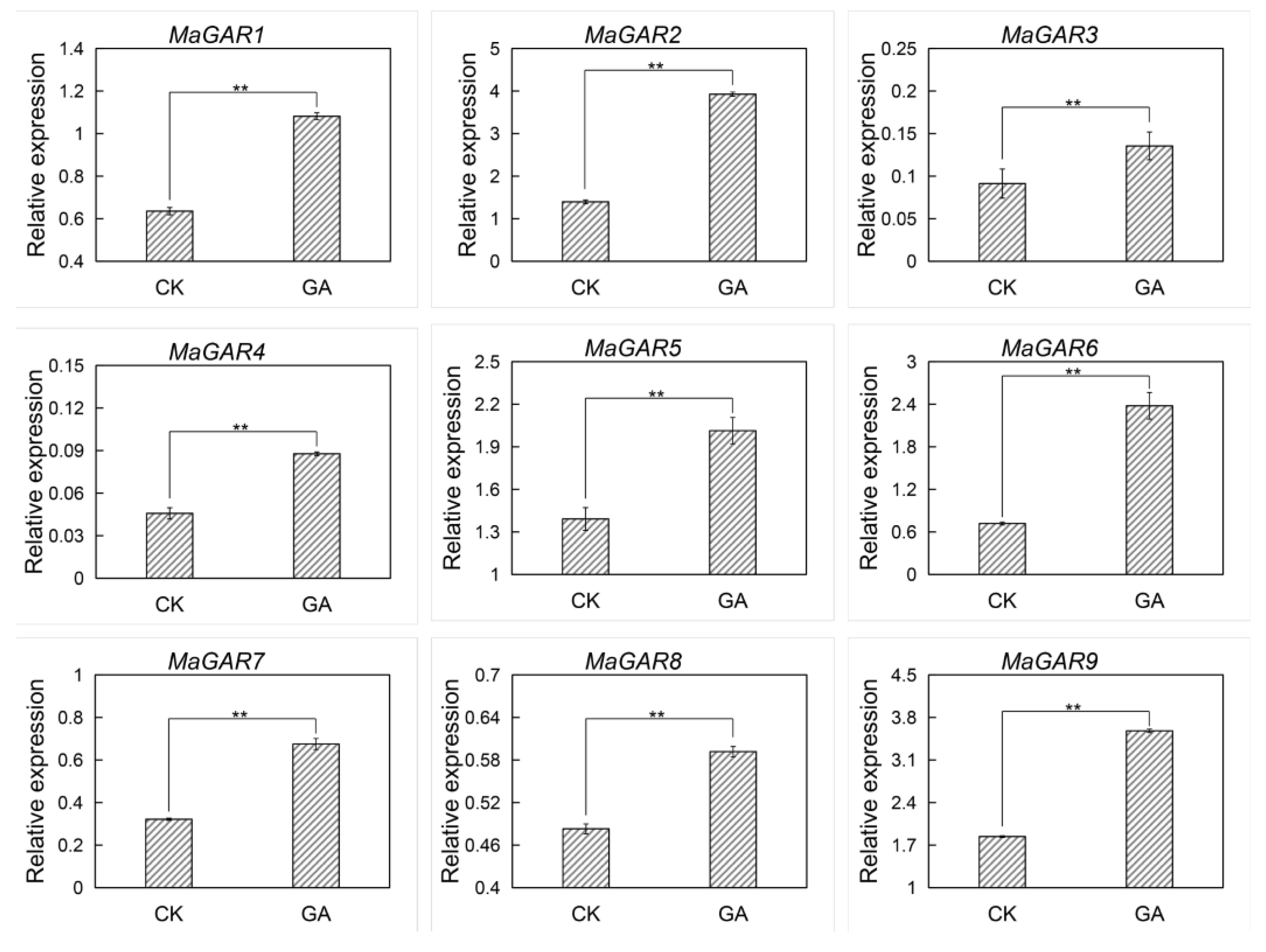 Ijms 24 02628 g007 Ijms 24 02628 g007