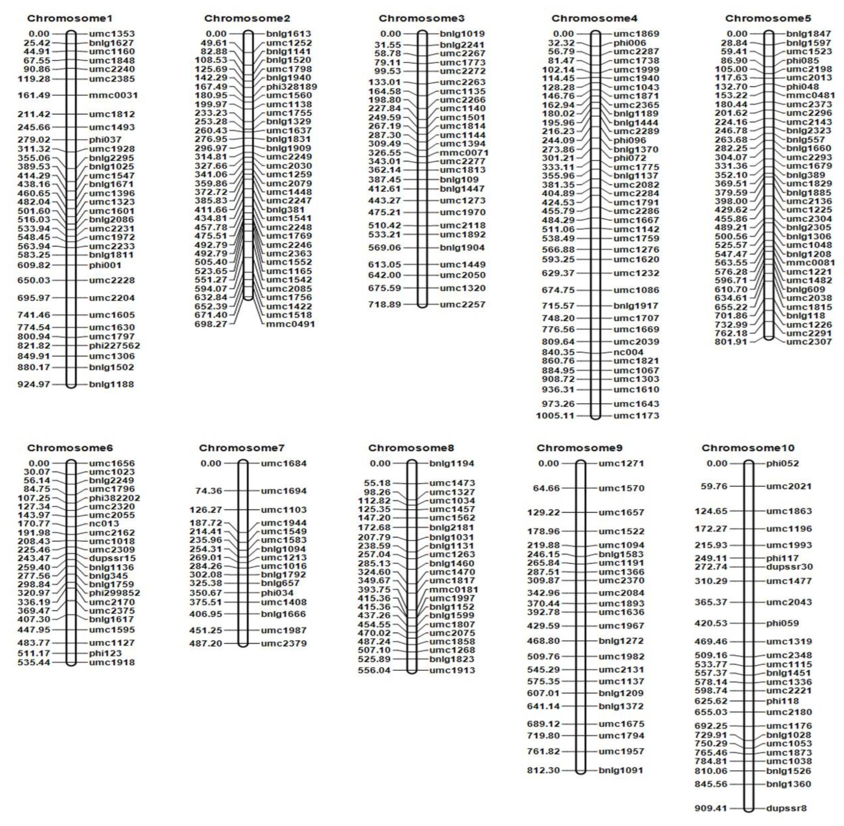 Ijms 24 02629 g003 Ijms 24 02629 g003