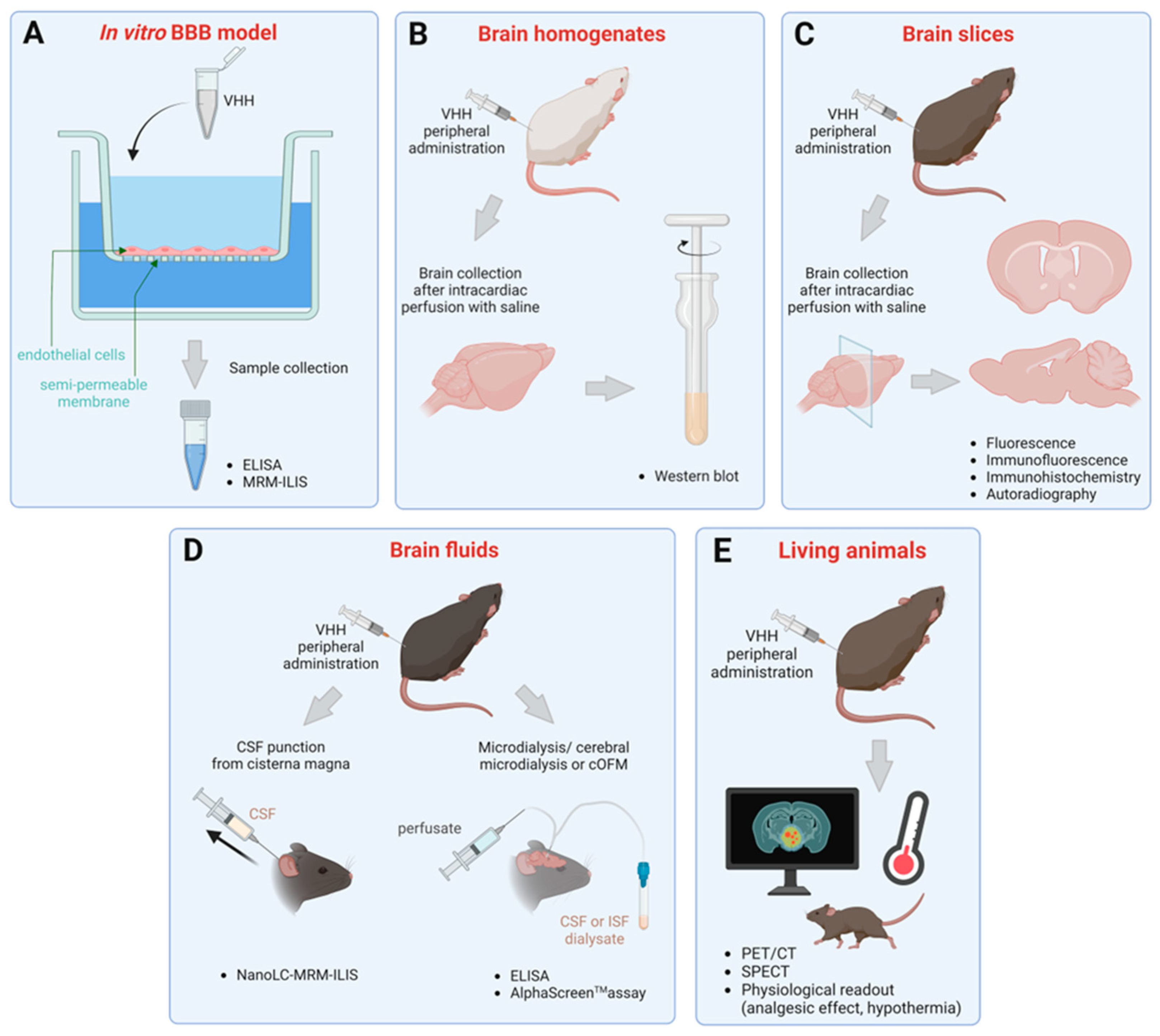Ijms 24 02632 g001 Ijms 24 02632 g001