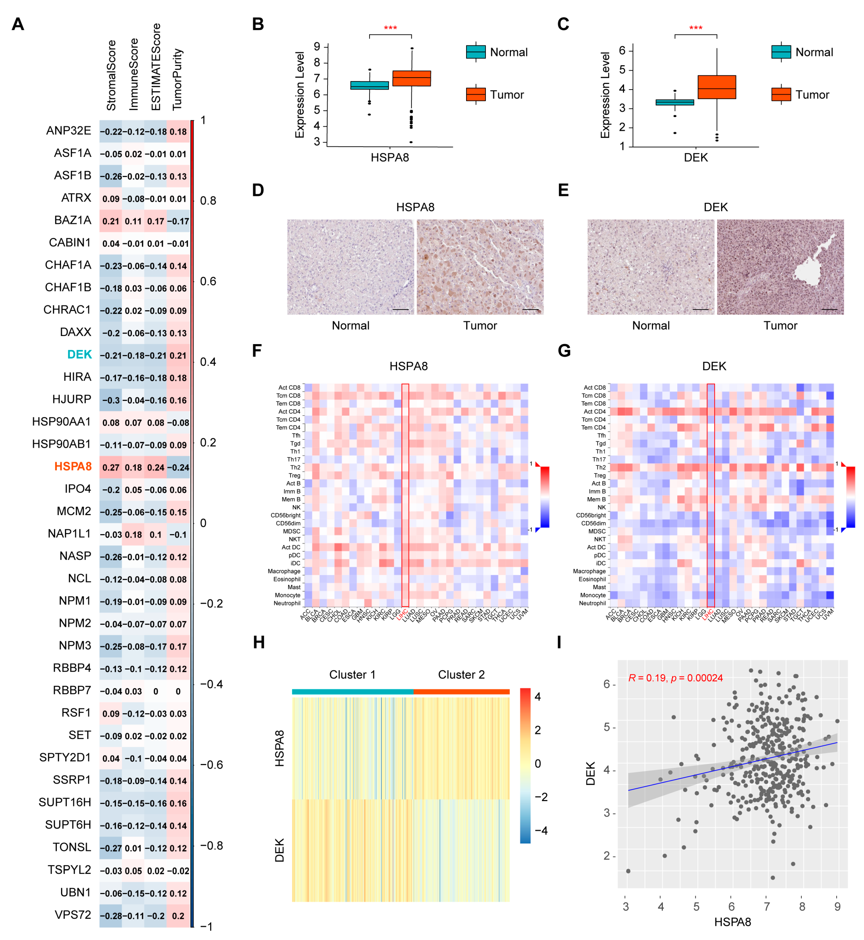 Ijms 24 02653 g001 Ijms 24 02653 g001