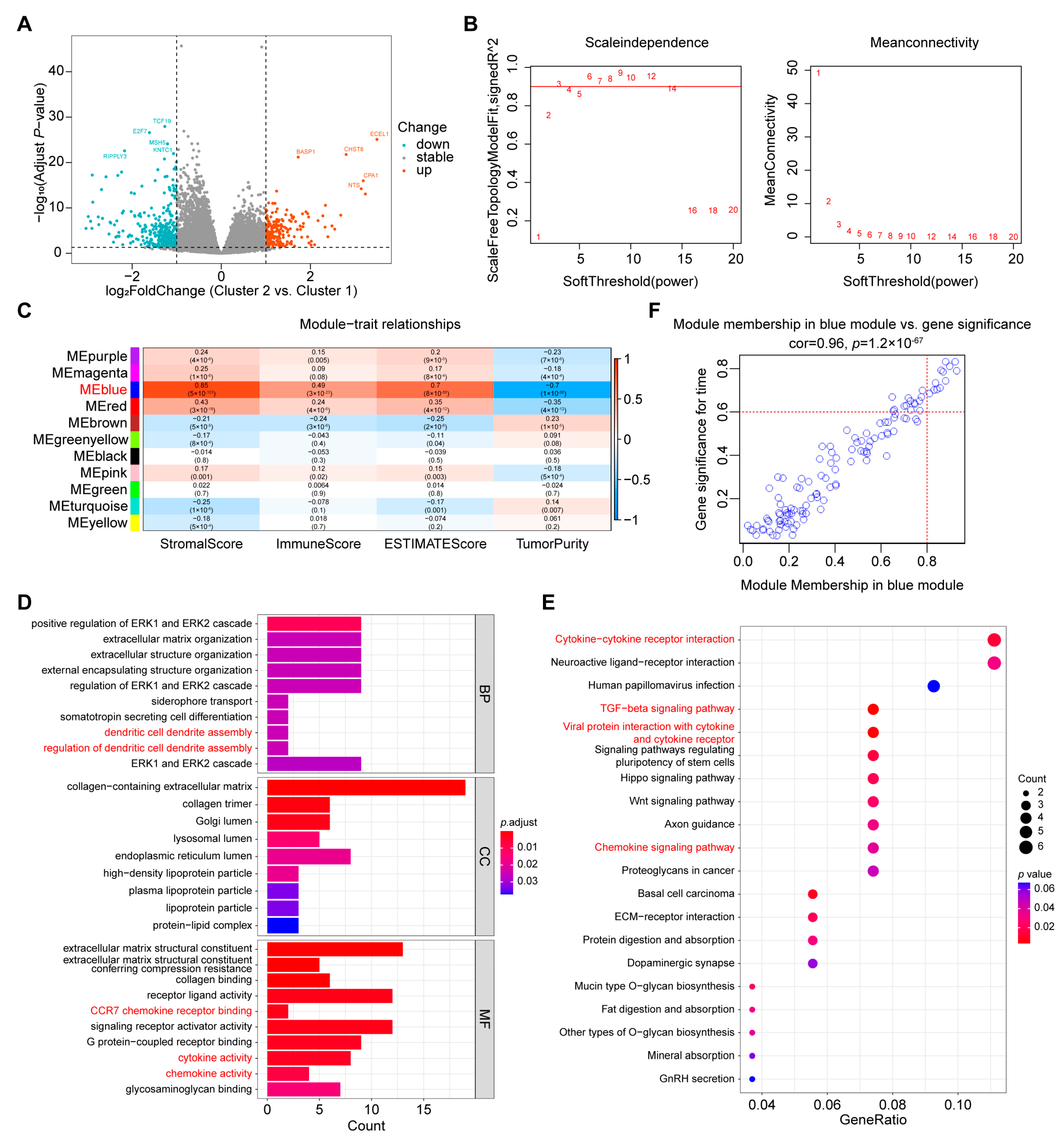 Ijms 24 02653 g004 Ijms 24 02653 g004