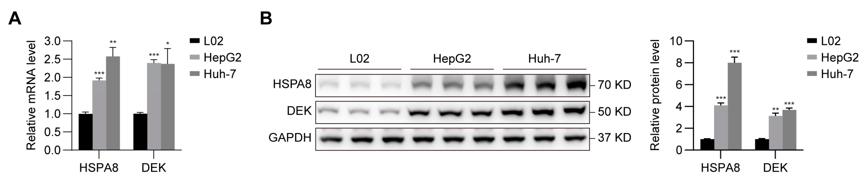 Ijms 24 02653 g007 Ijms 24 02653 g007