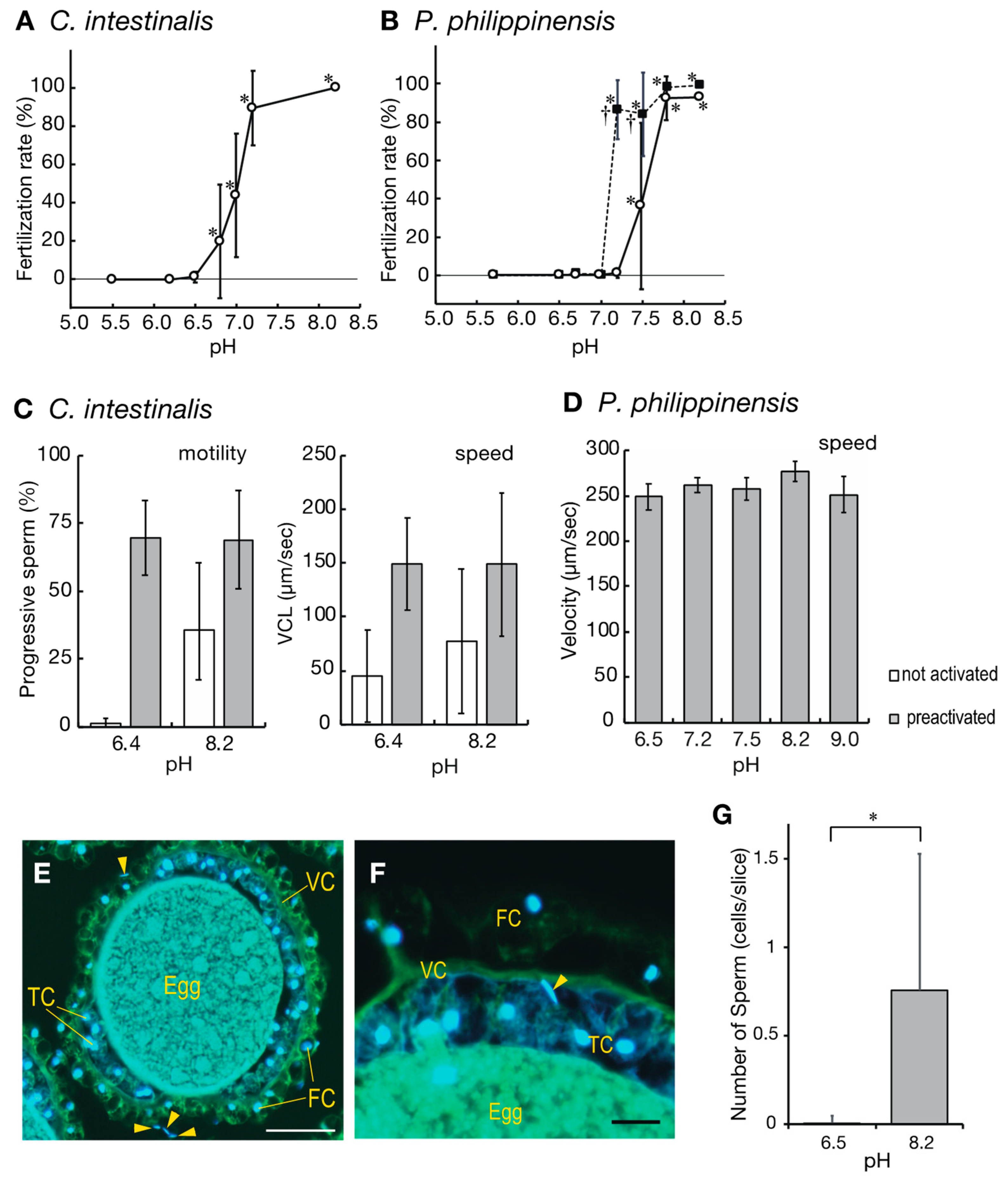 Ijms 24 02666 g001 Ijms 24 02666 g001