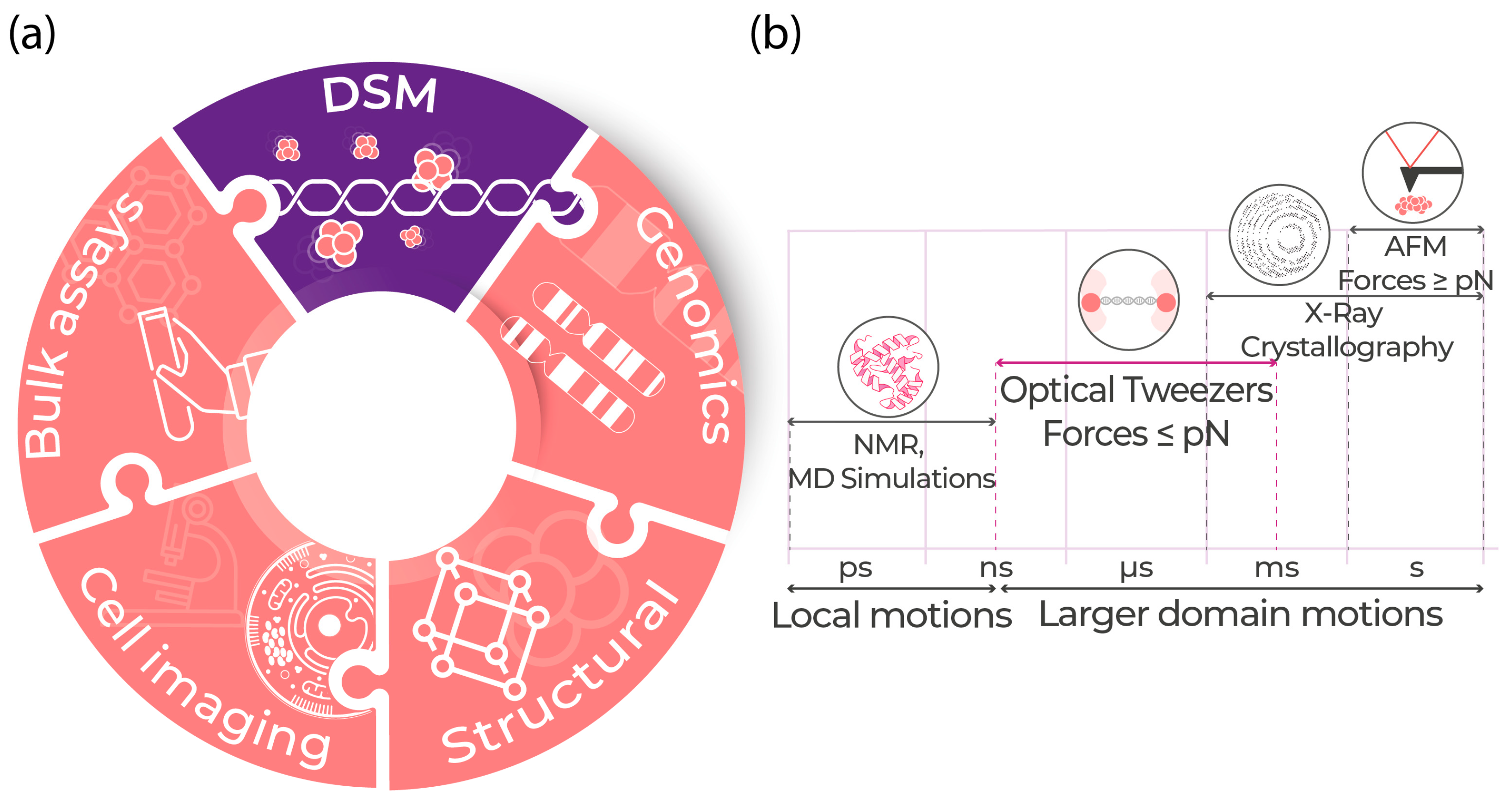 Research < Zhang Laboratory of Single-Molecule Biophysics