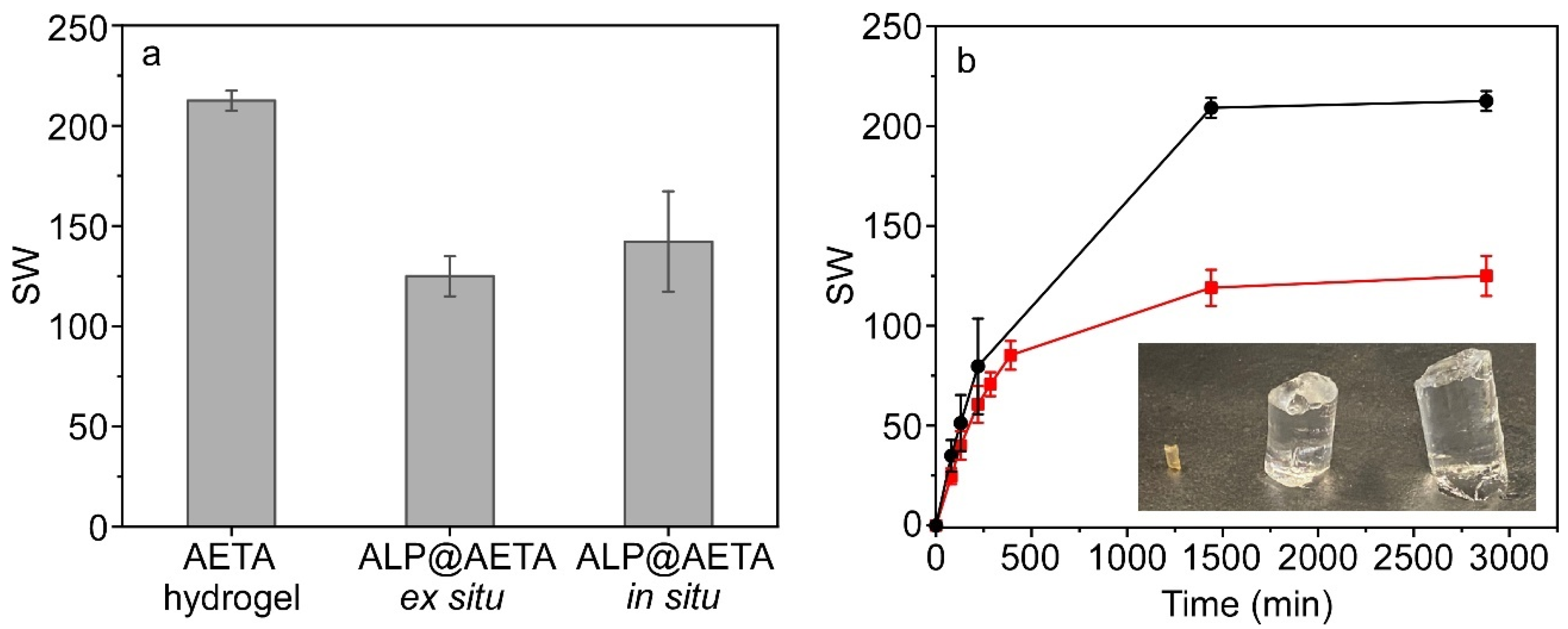 Ijms 24 02672 g001 Ijms 24 02672 g001