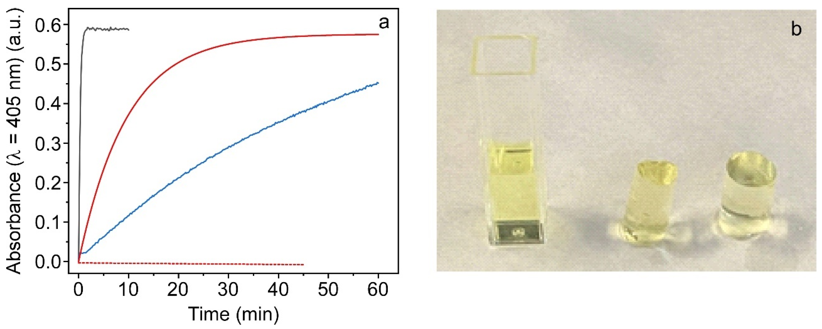 Ijms 24 02672 g003 Ijms 24 02672 g003