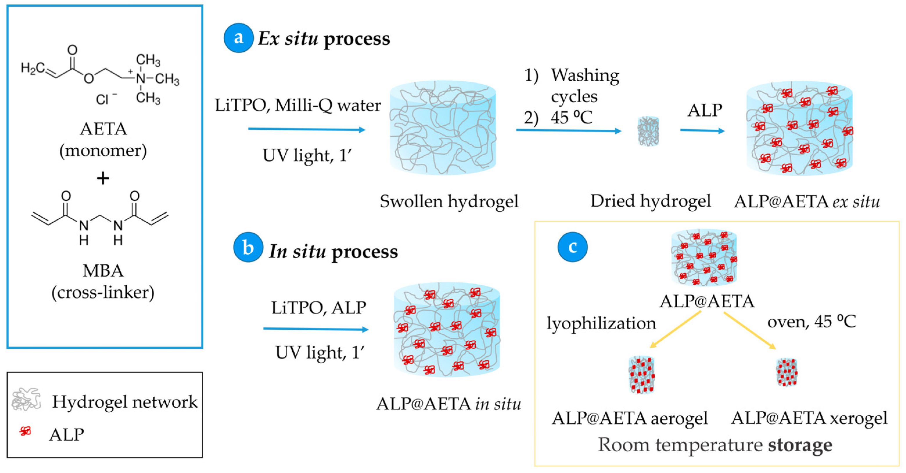 Ijms 24 02672 sch001 Ijms 24 02672 sch001