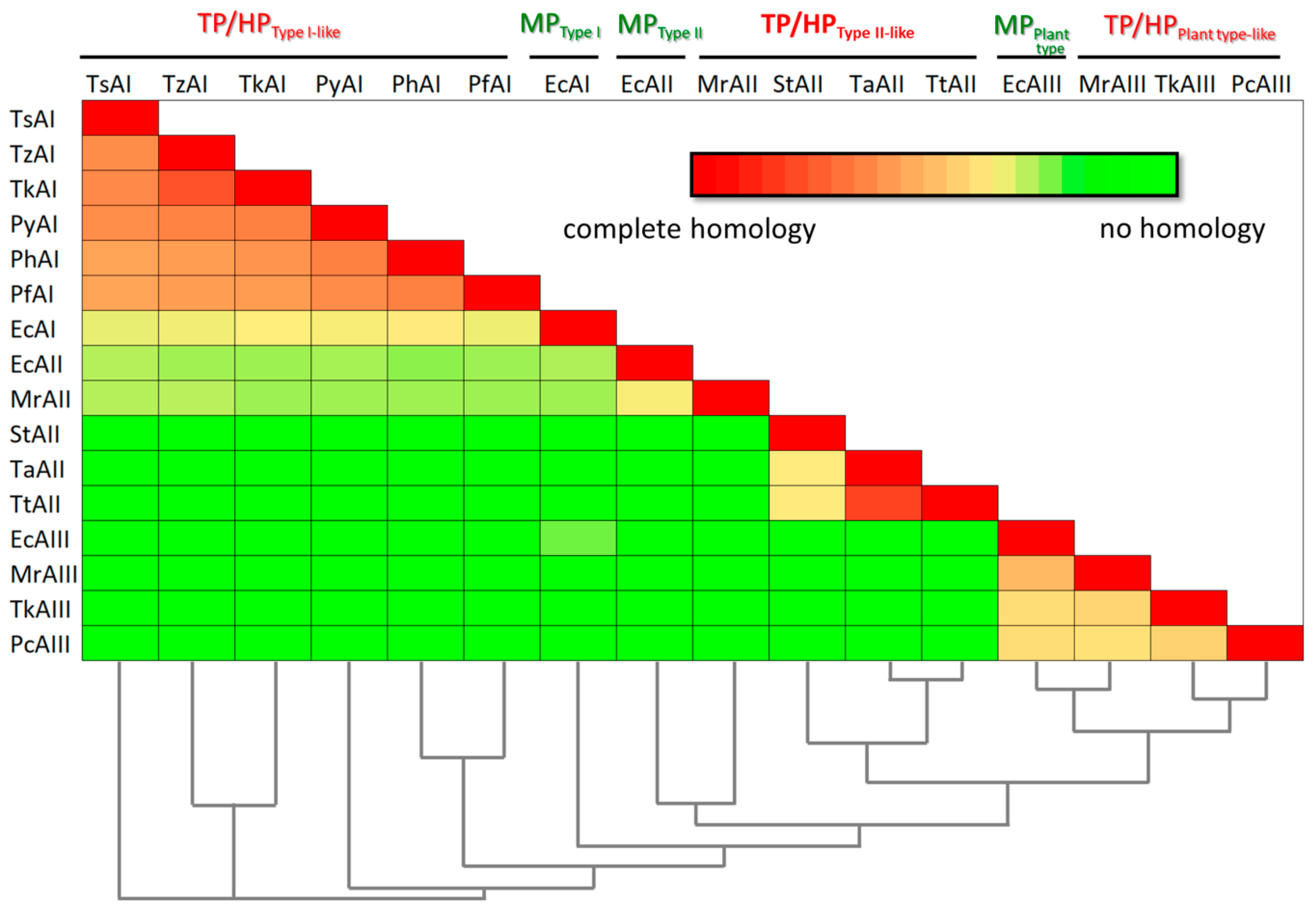 Ijms 24 02674 g001 Ijms 24 02674 g001