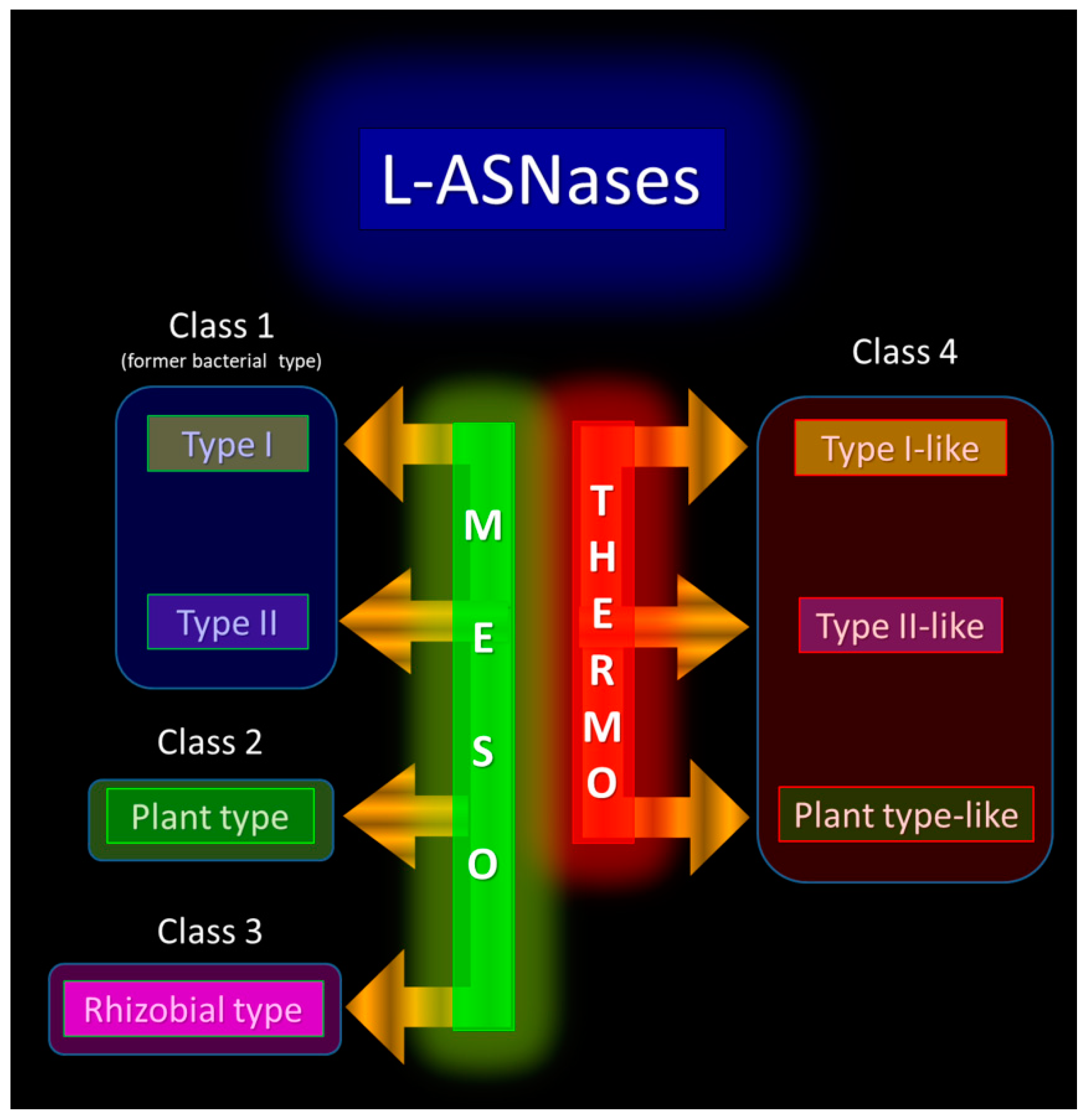 Ijms 24 02674 g002 Ijms 24 02674 g002