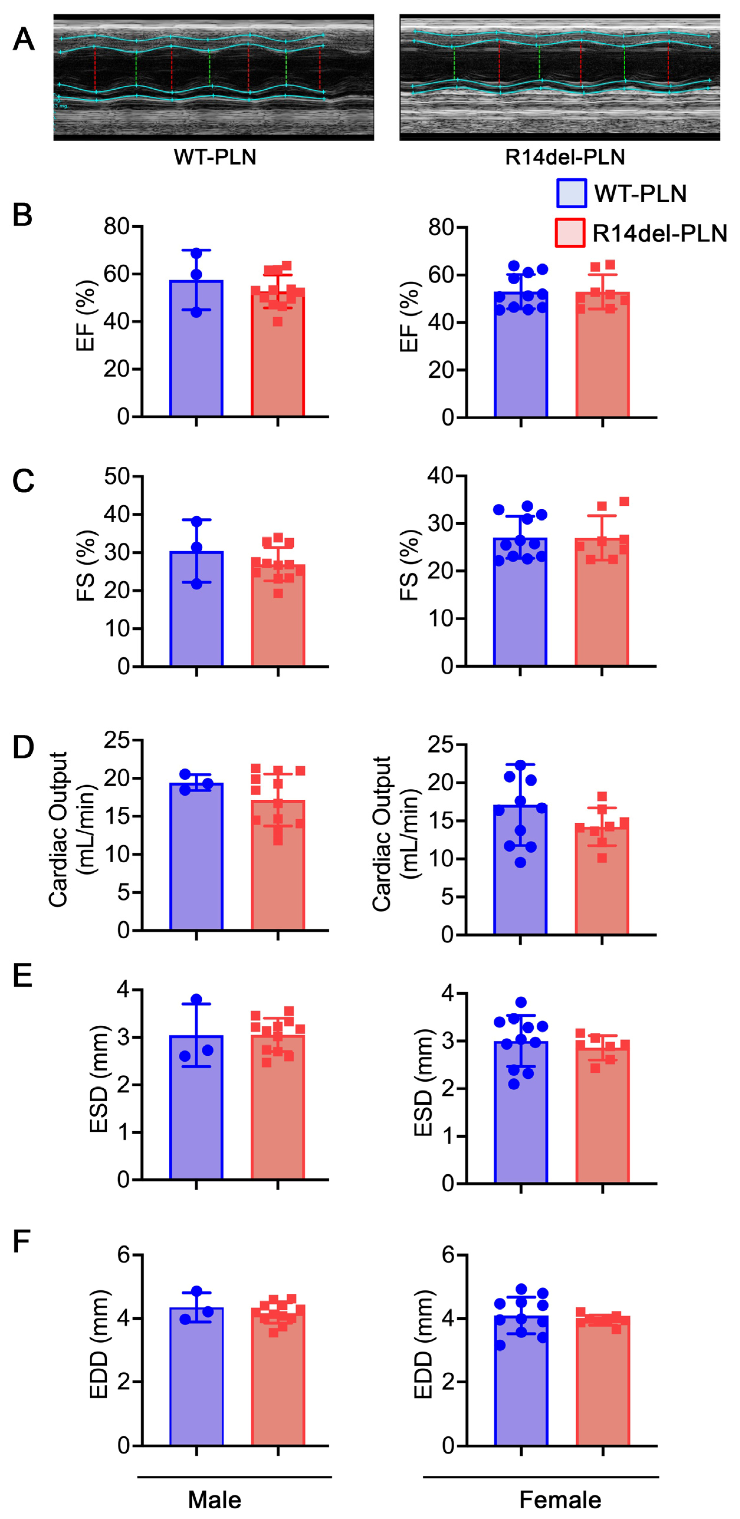 Ijms 24 02675 g006 Ijms 24 02675 g006