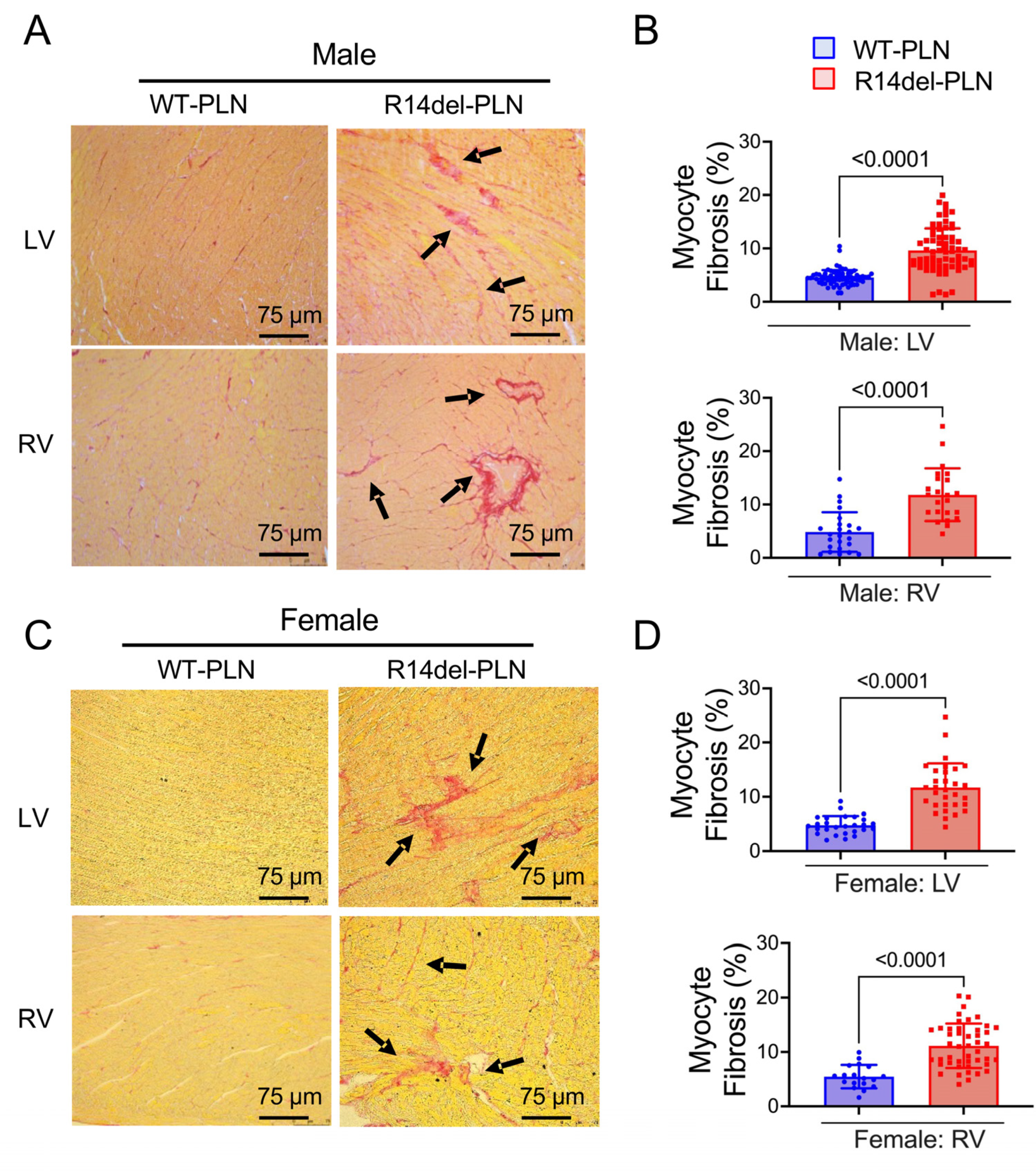 Ijms 24 02675 g007 Ijms 24 02675 g007