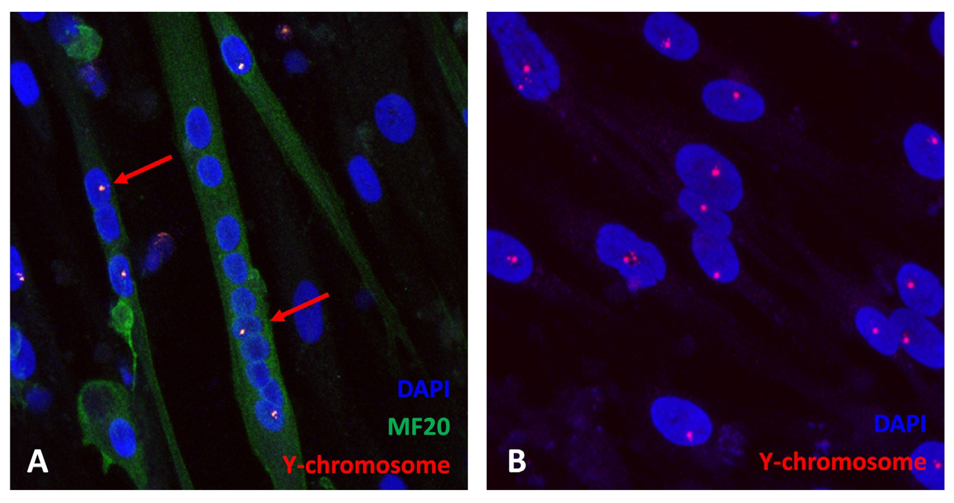 Ijms 24 02679 g001 Ijms 24 02679 g001