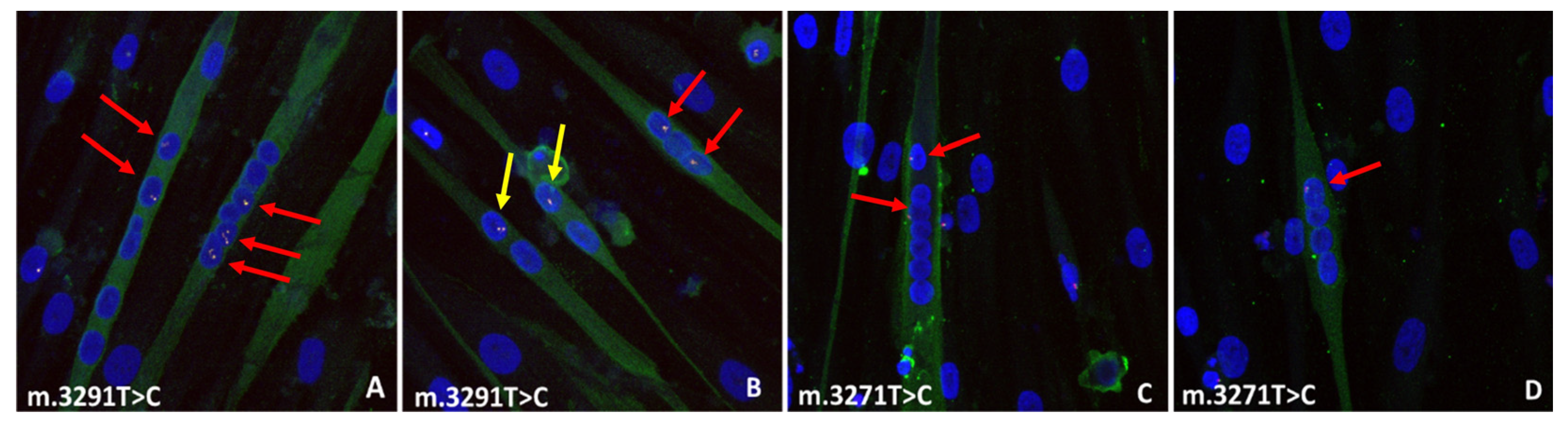 Ijms 24 02679 g002 Ijms 24 02679 g002