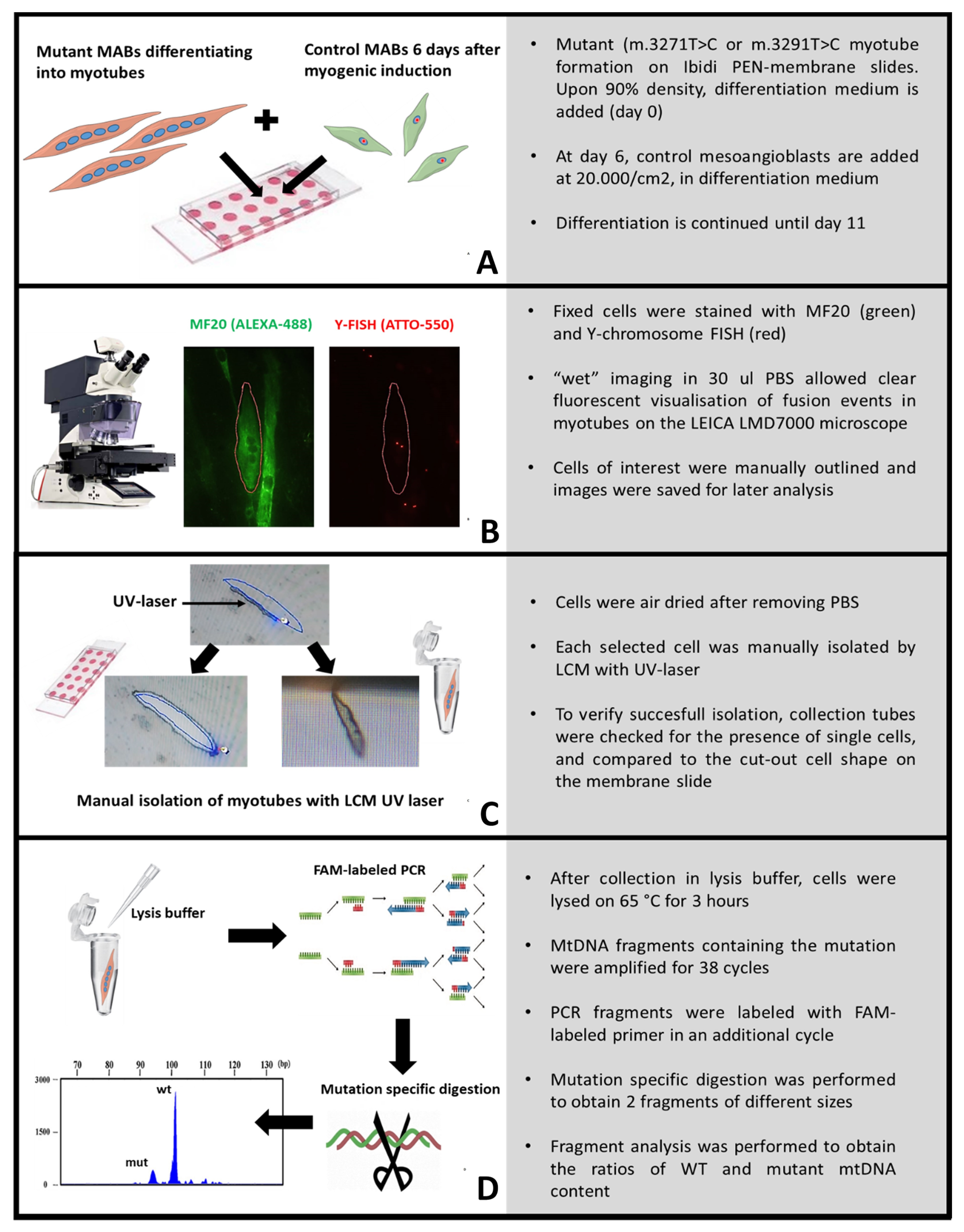 Ijms 24 02679 g004 Ijms 24 02679 g004