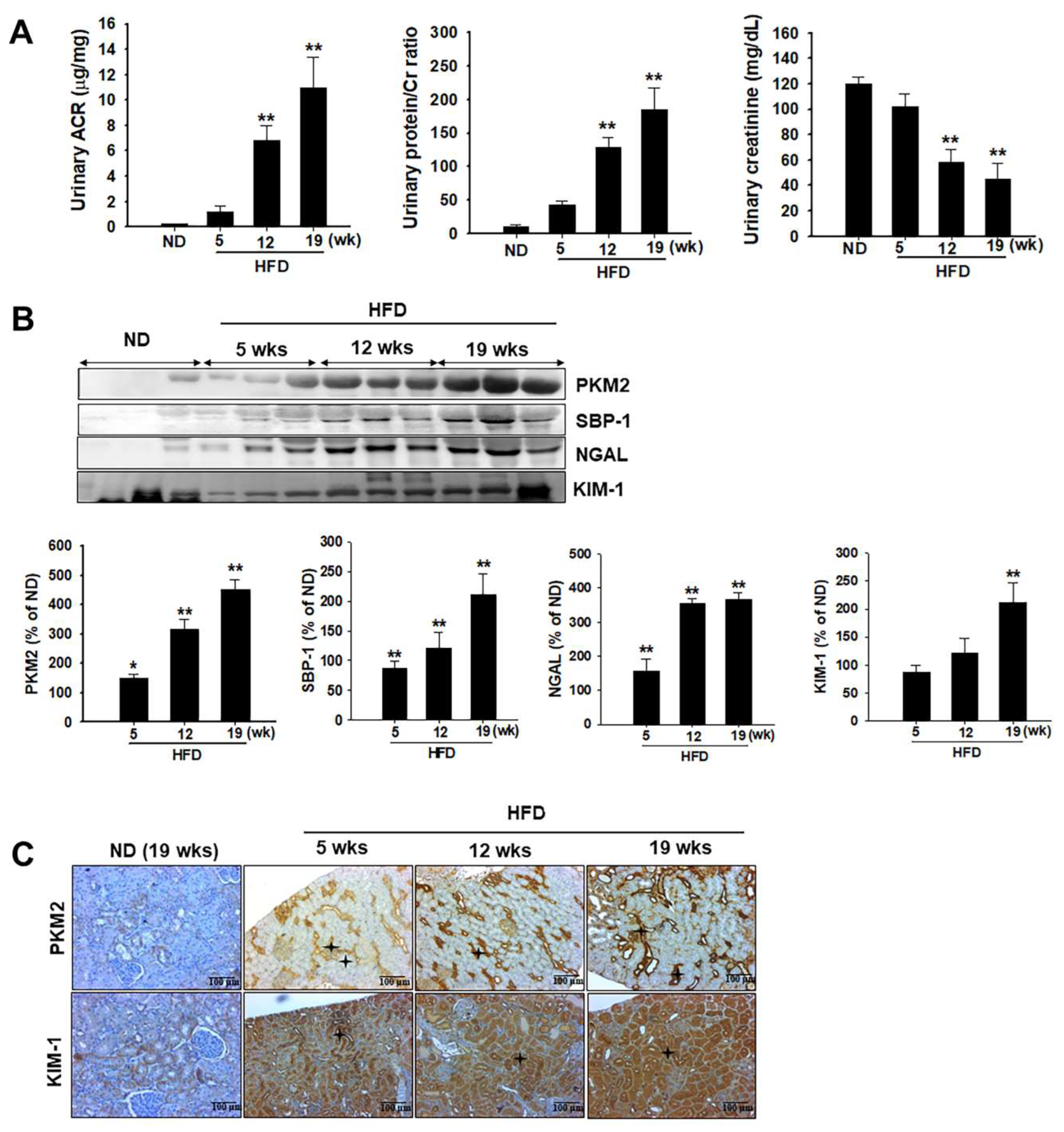 Ijms 24 02683 g003 Ijms 24 02683 g003