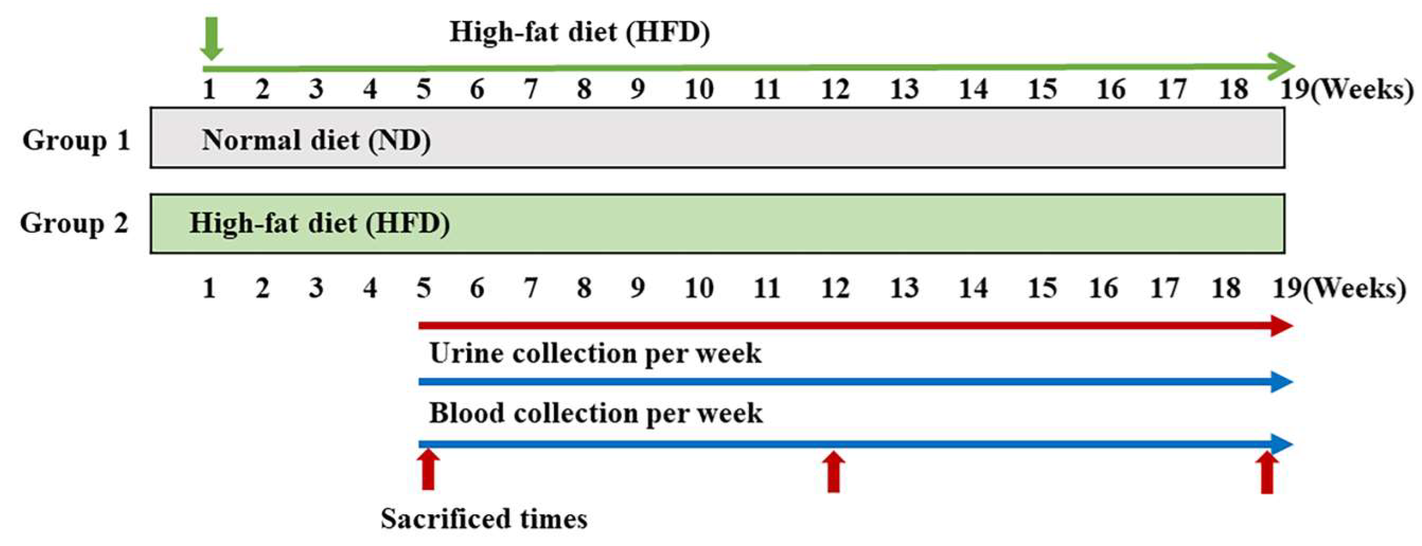 Ijms 24 02683 g005 Ijms 24 02683 g005