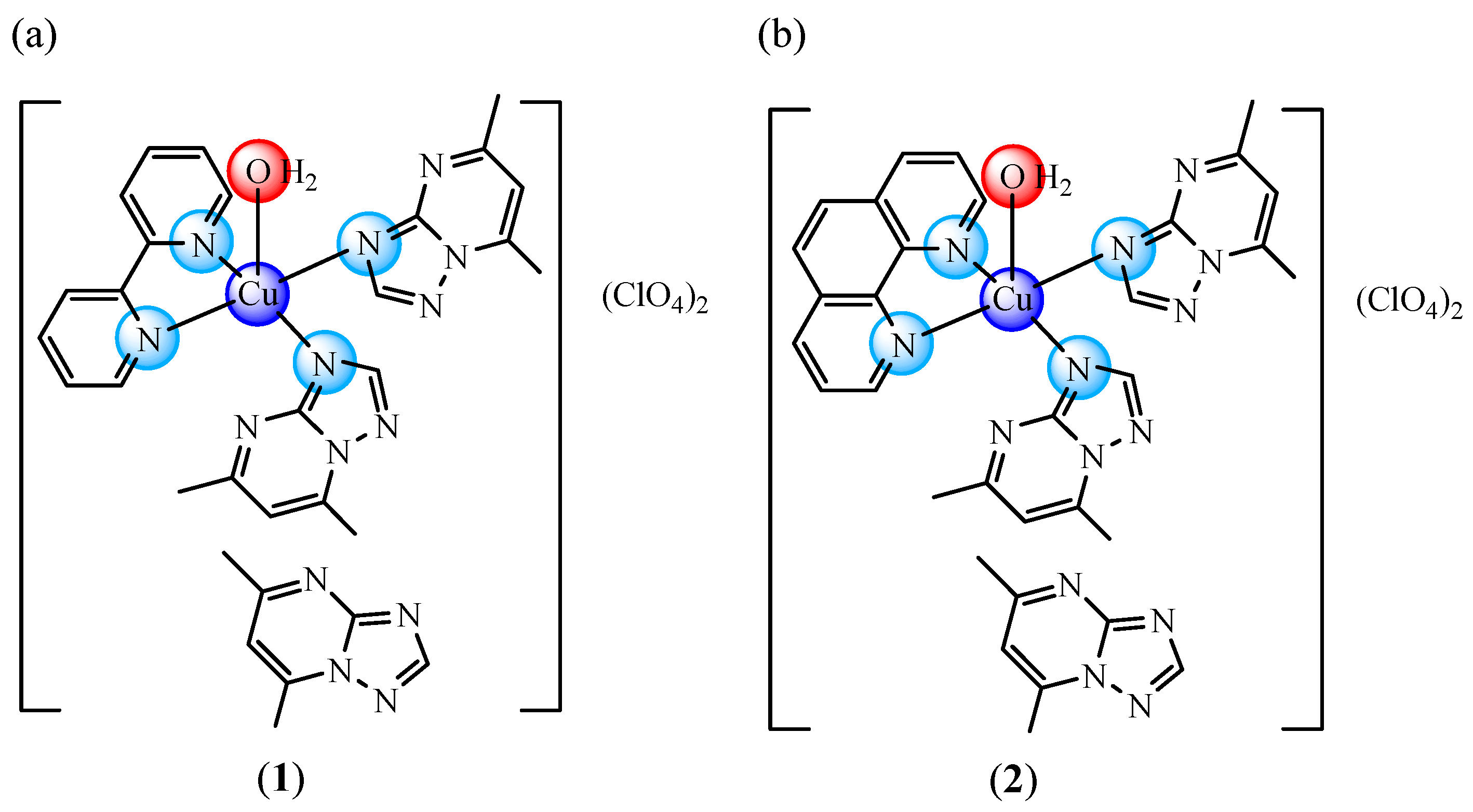 Ijms 24 02688 g001 Ijms 24 02688 g001